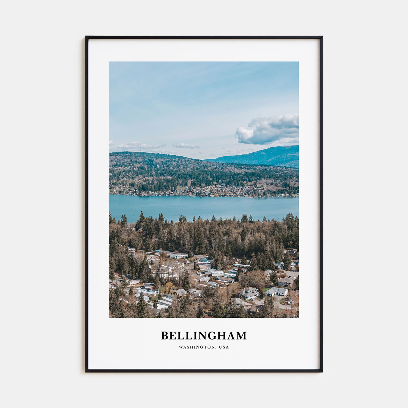 Bellingham Portrait Color Poster