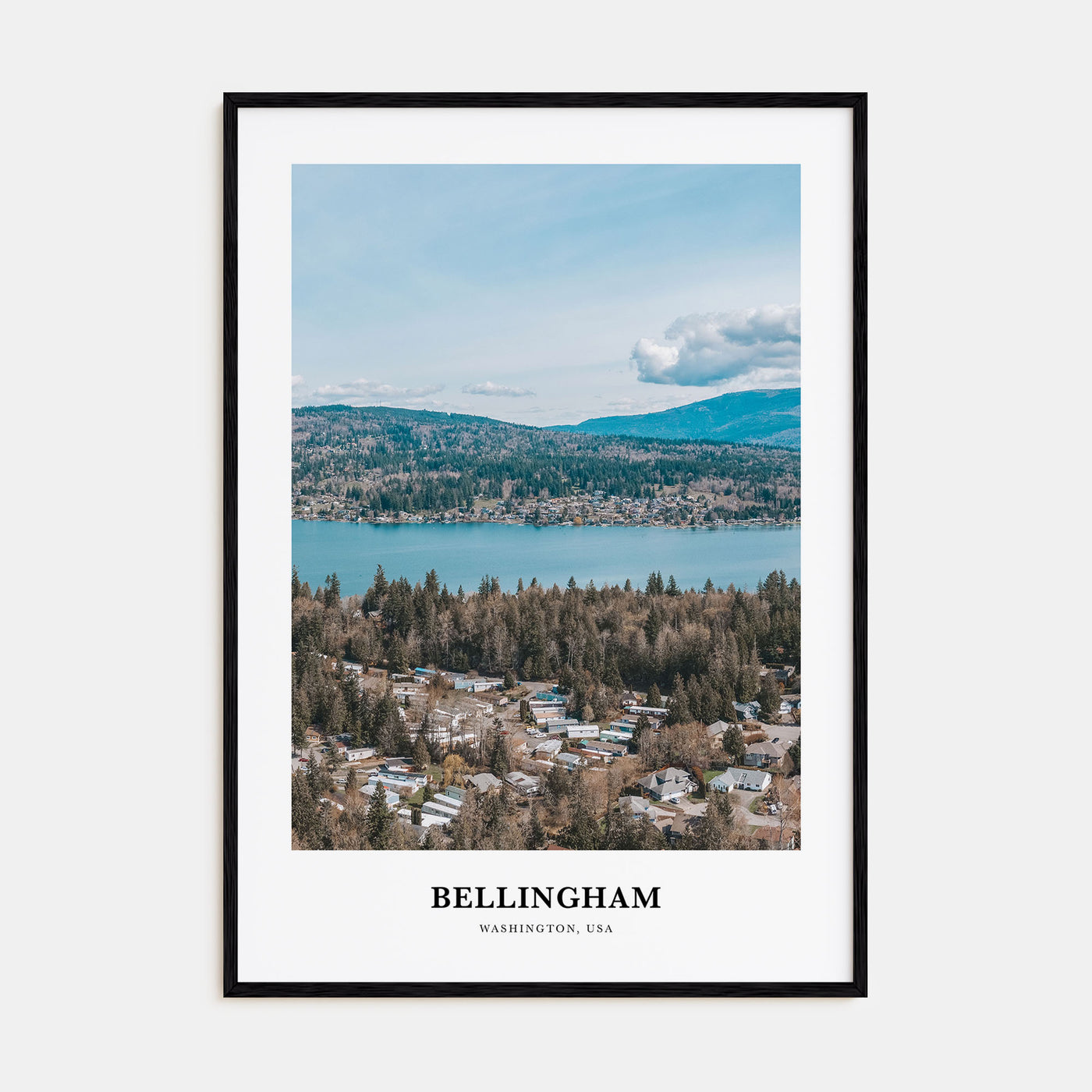 Bellingham Portrait Color Poster