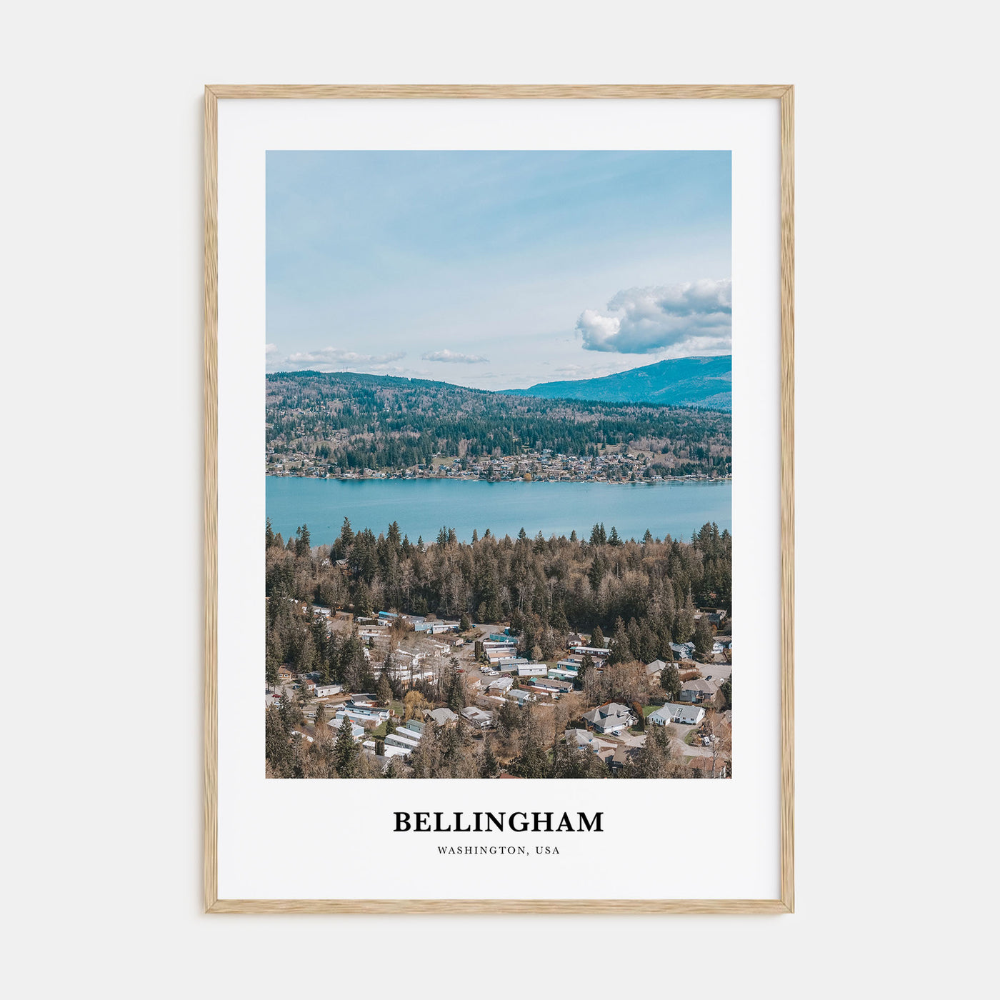 Bellingham Portrait Color Poster