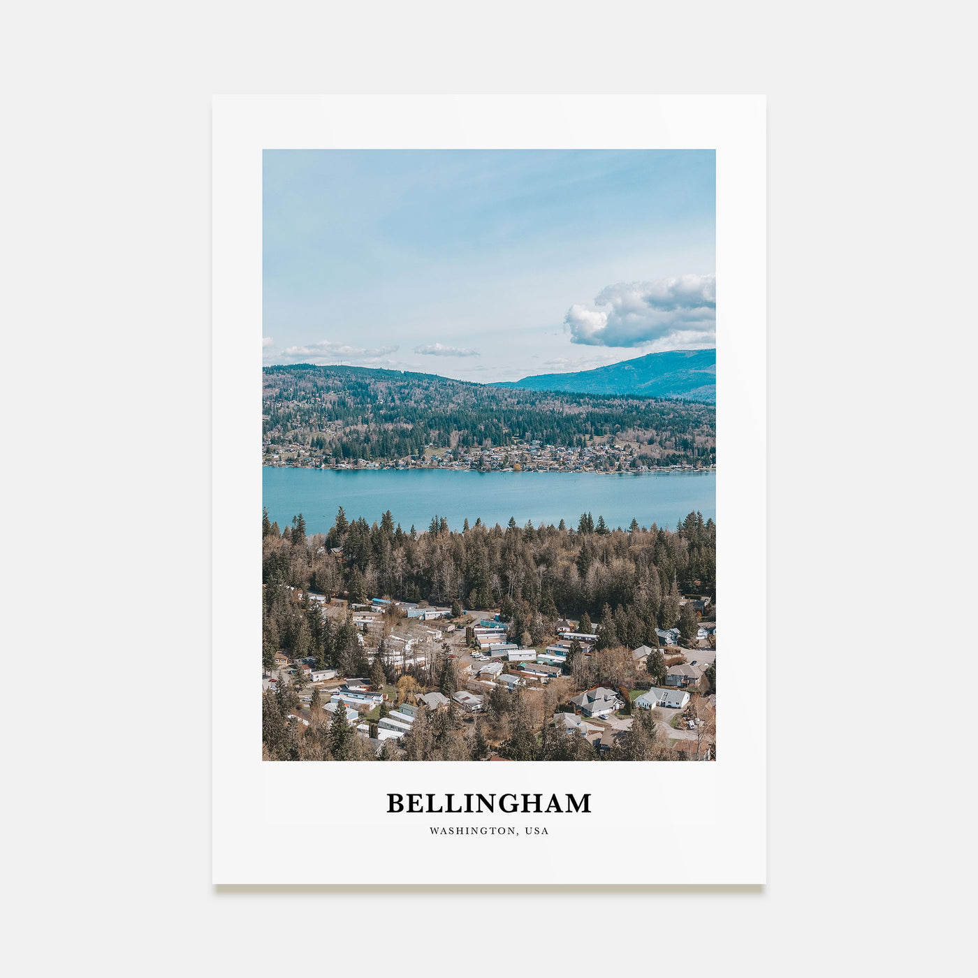 Bellingham Portrait Color Poster