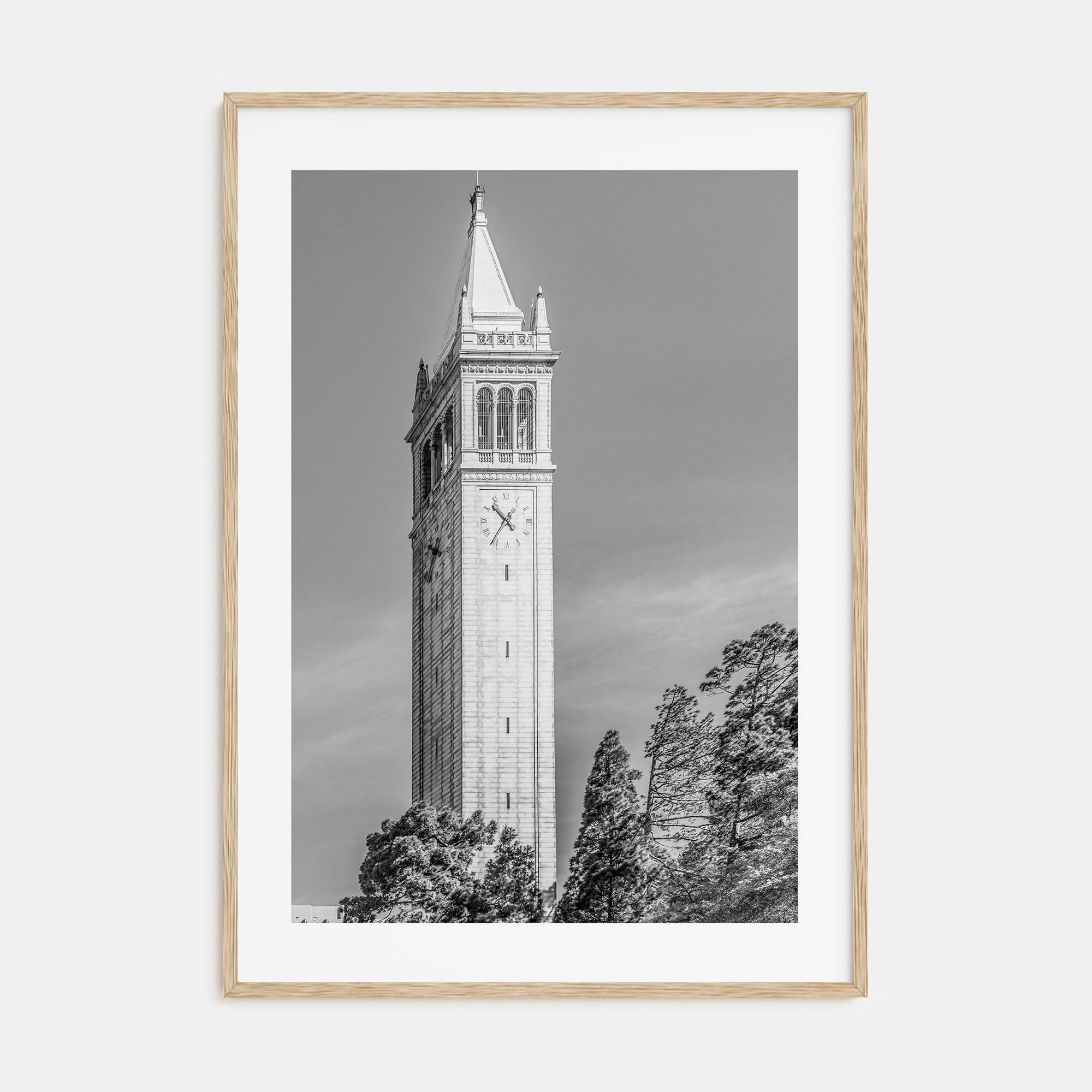 Berkeley Photo B&W No 3 Poster