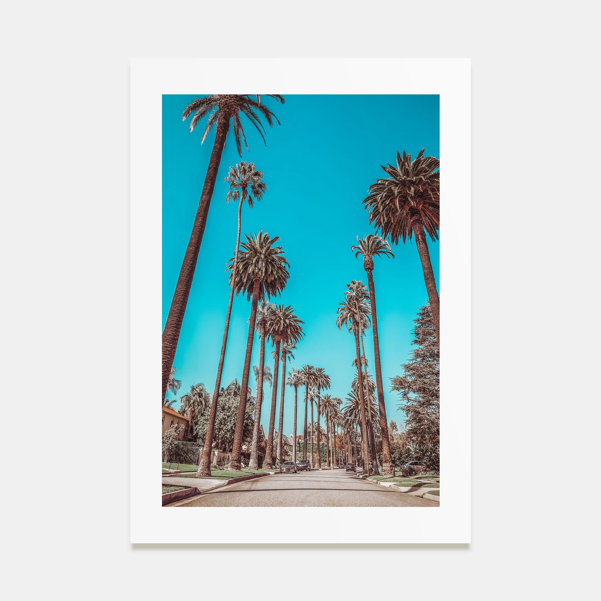 Beverly Hills Photo Color Poster