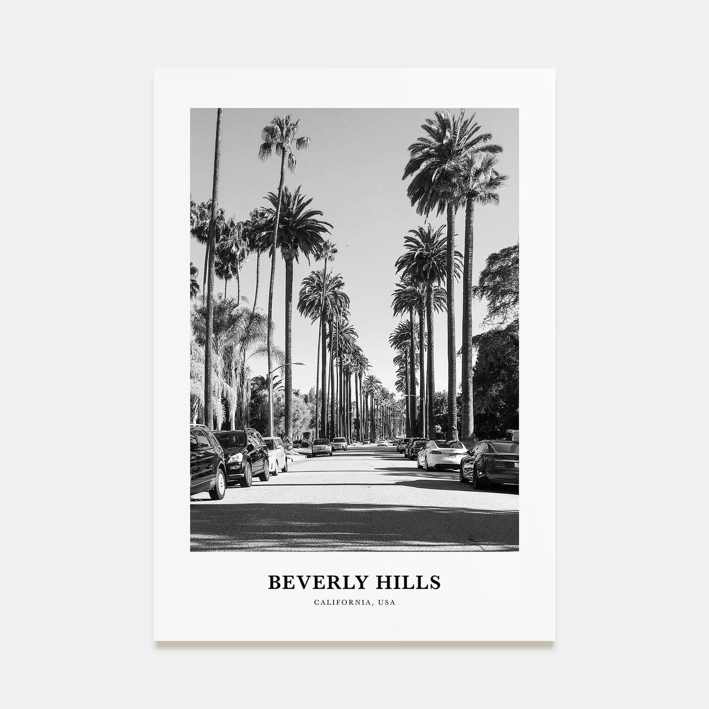 Beverly Hills Portrait B&W Poster
