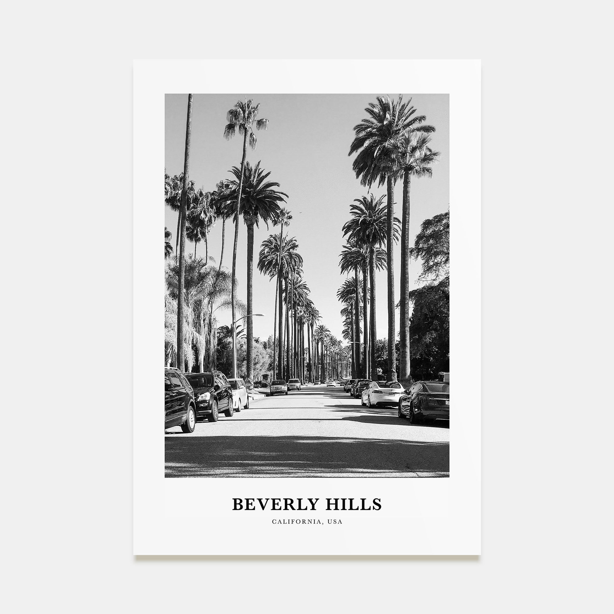 Beverly Hills Portrait B&W Poster