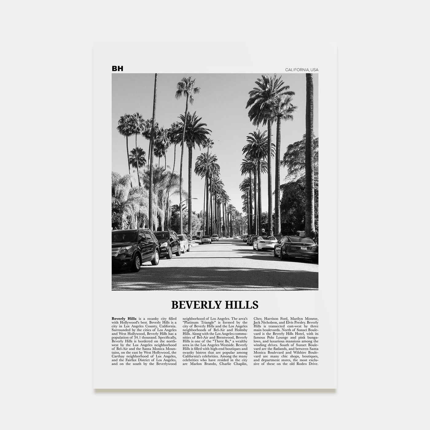 Beverly Hills Travel B&W Poster