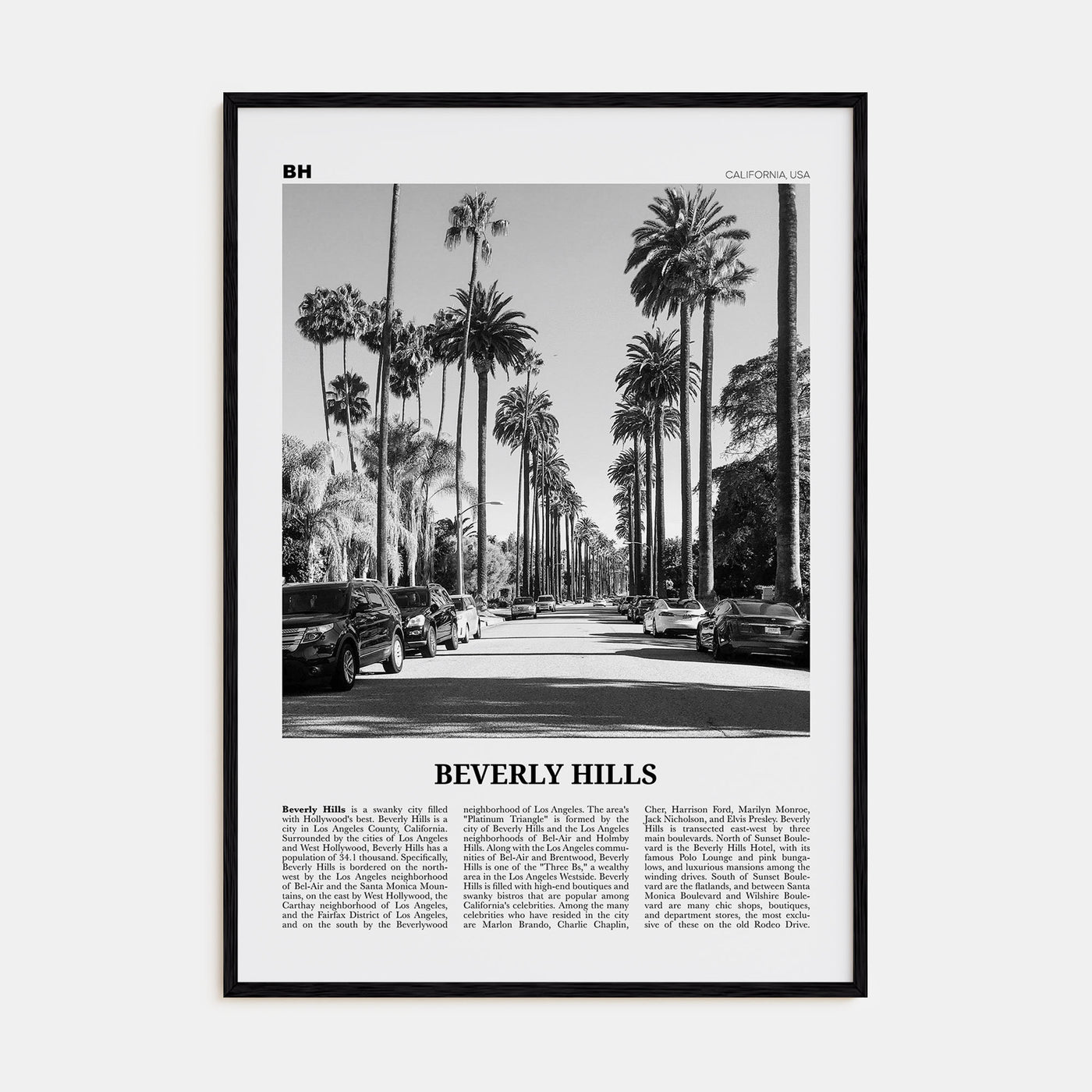 Beverly Hills Travel B&W Poster