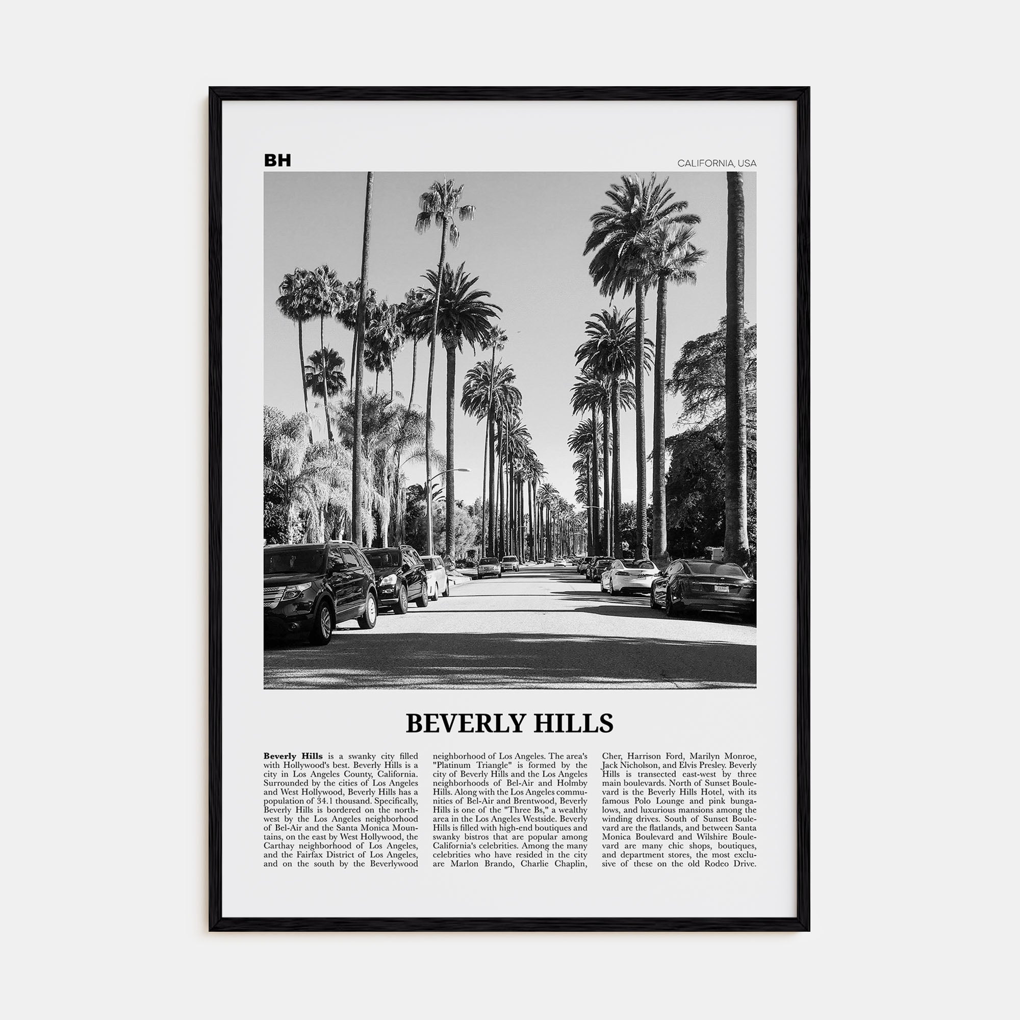 Beverly Hills Travel B&W Poster