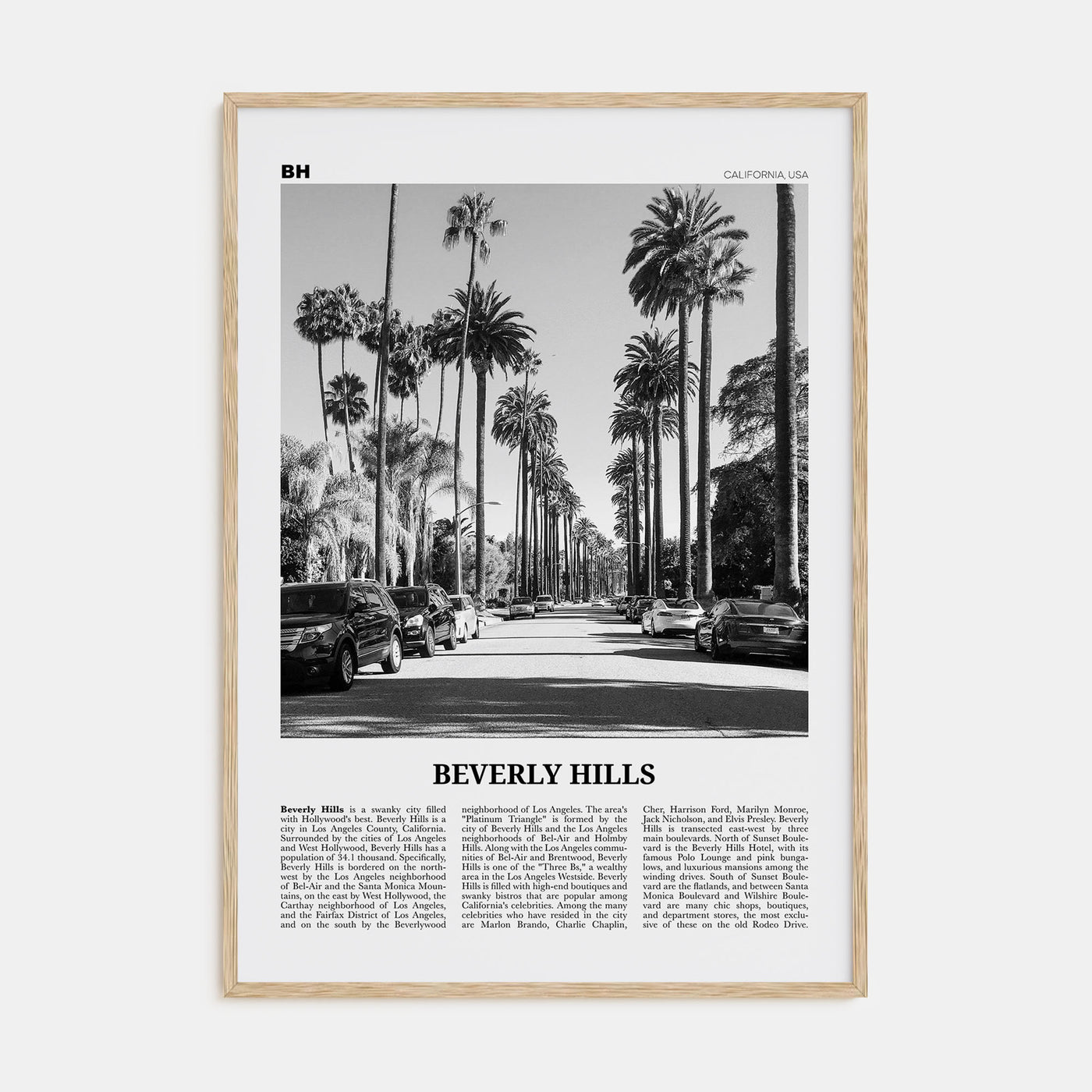 Beverly Hills Travel B&W Poster