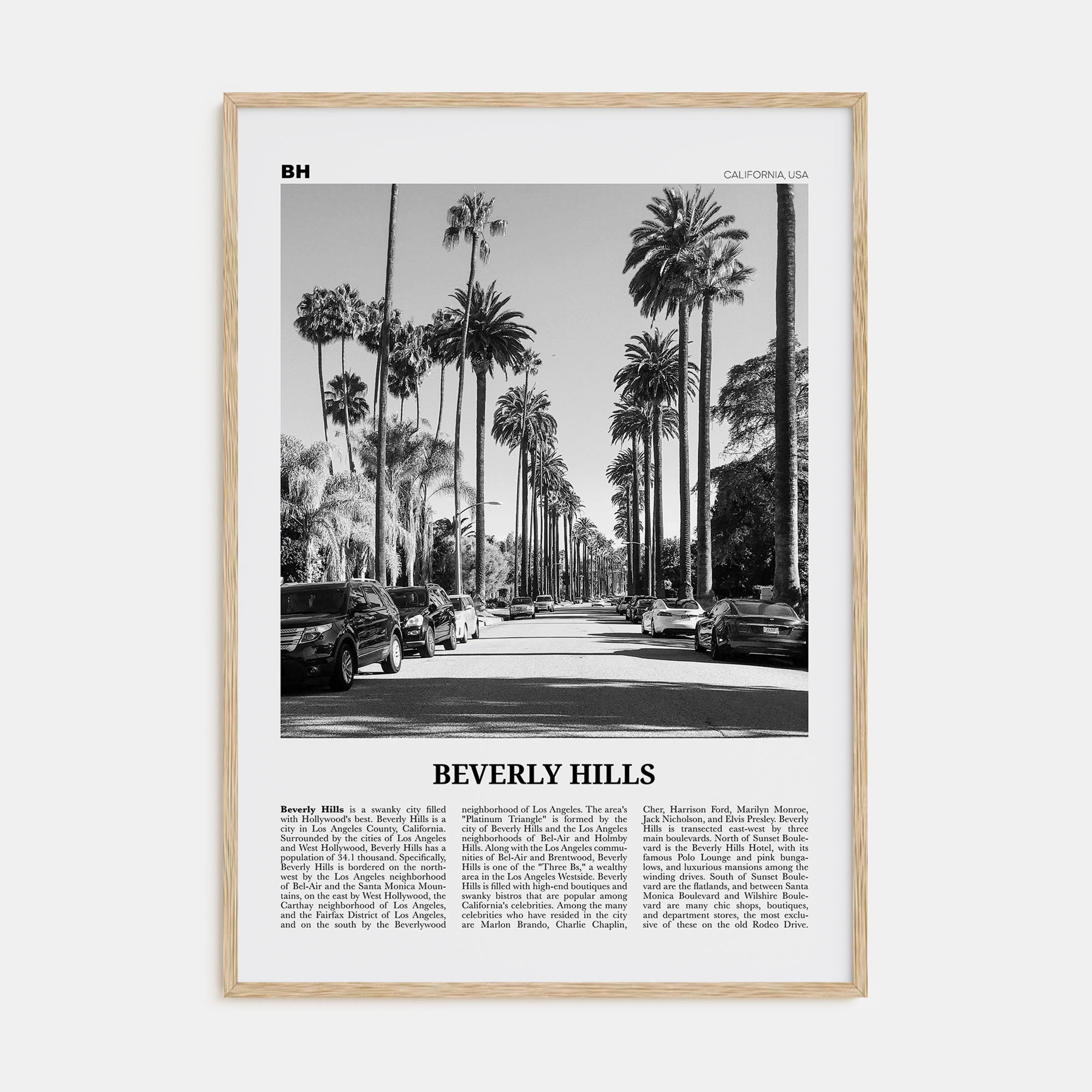 Beverly Hills Travel B&W Poster