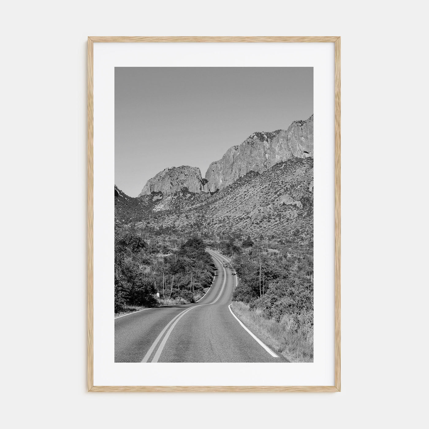 Big Bend National Park Photo B&W Poster