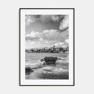 Bird Rock Photo B&W Poster