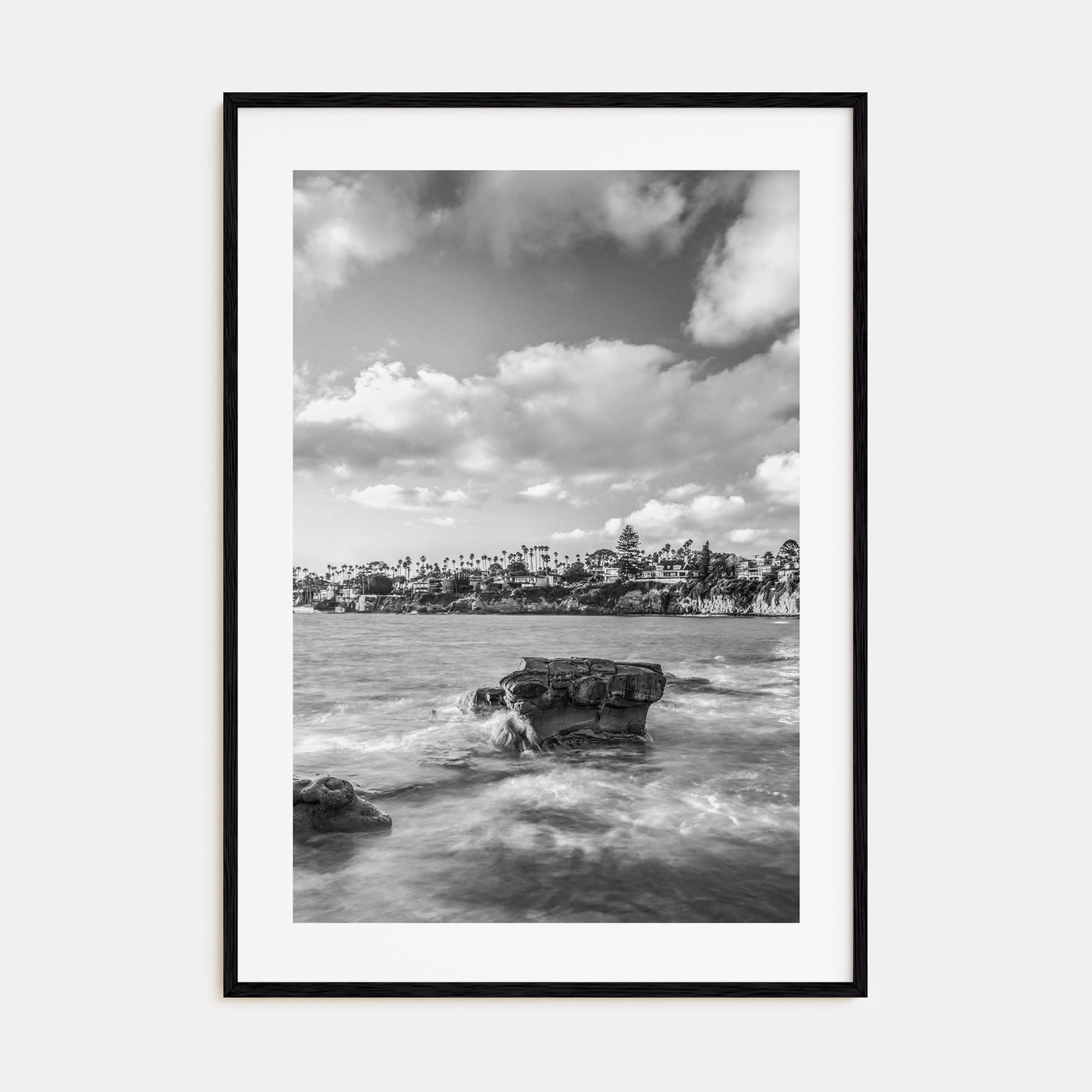 Bird Rock Photo B&W Poster