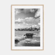 Bird Rock Photo B&W Poster