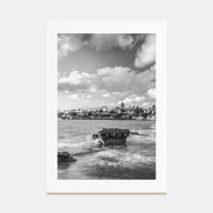 Bird Rock Photo B&W Poster