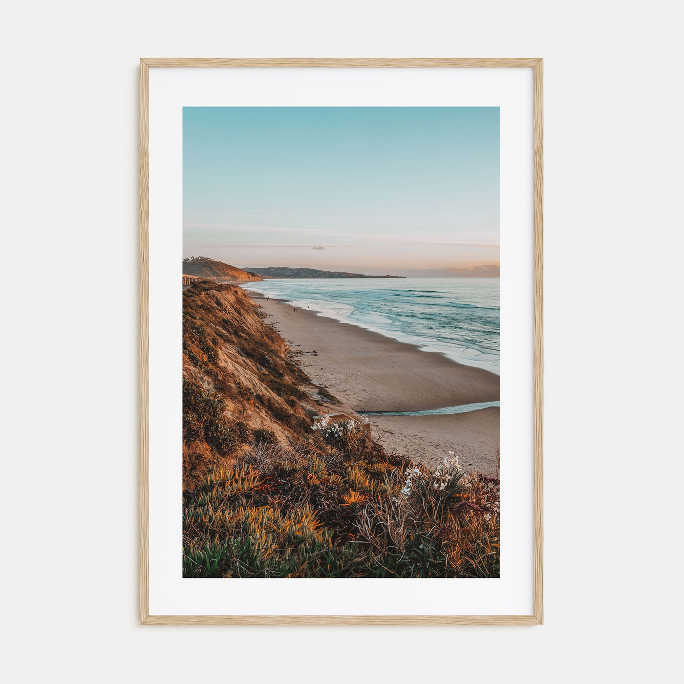 Bird Rock Photo Color Poster