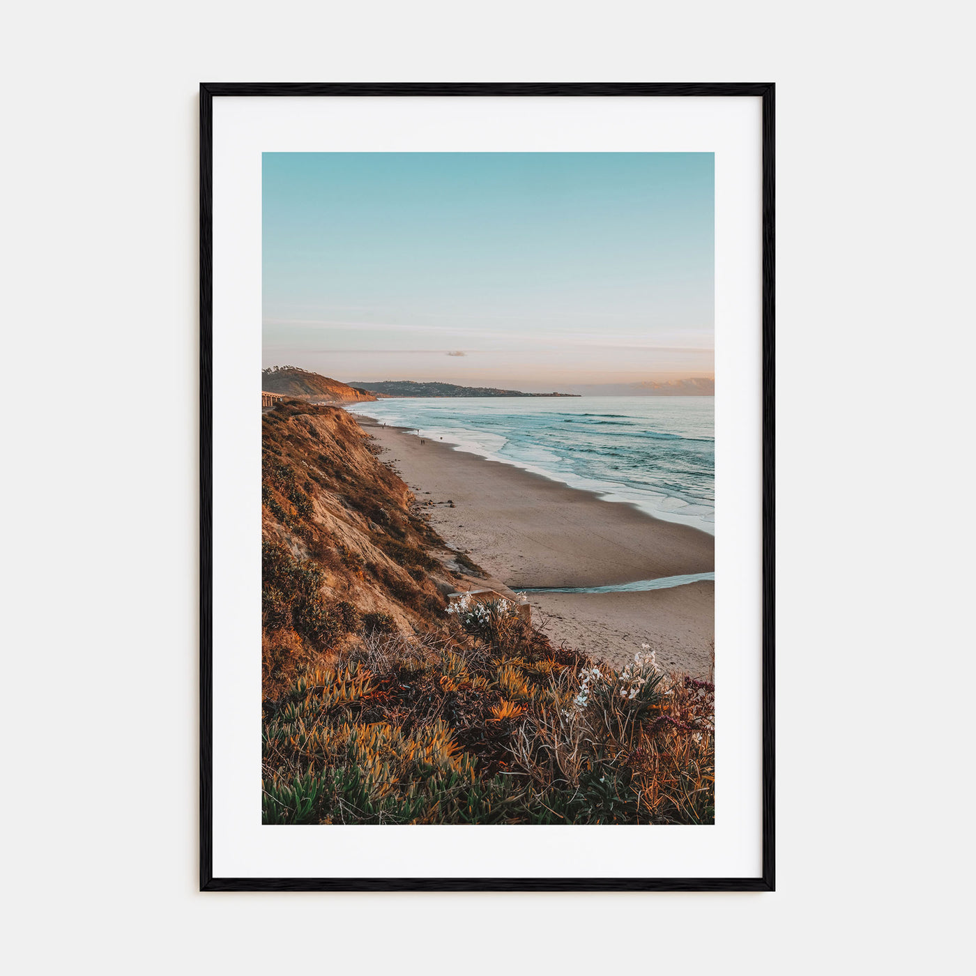 Bird Rock Photo Color Poster