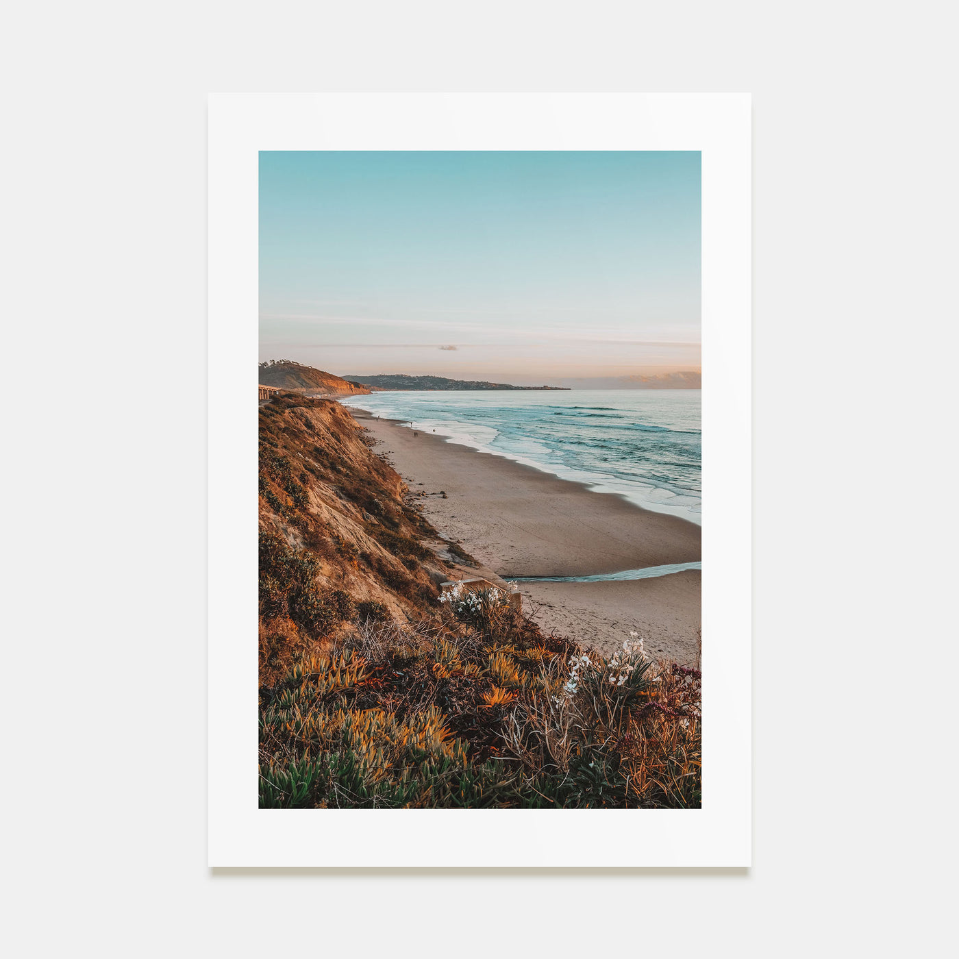 Bird Rock Photo Color Poster