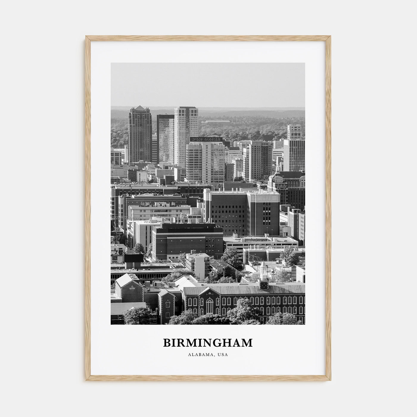 Birmingham, Alabama Portrait B&W Poster