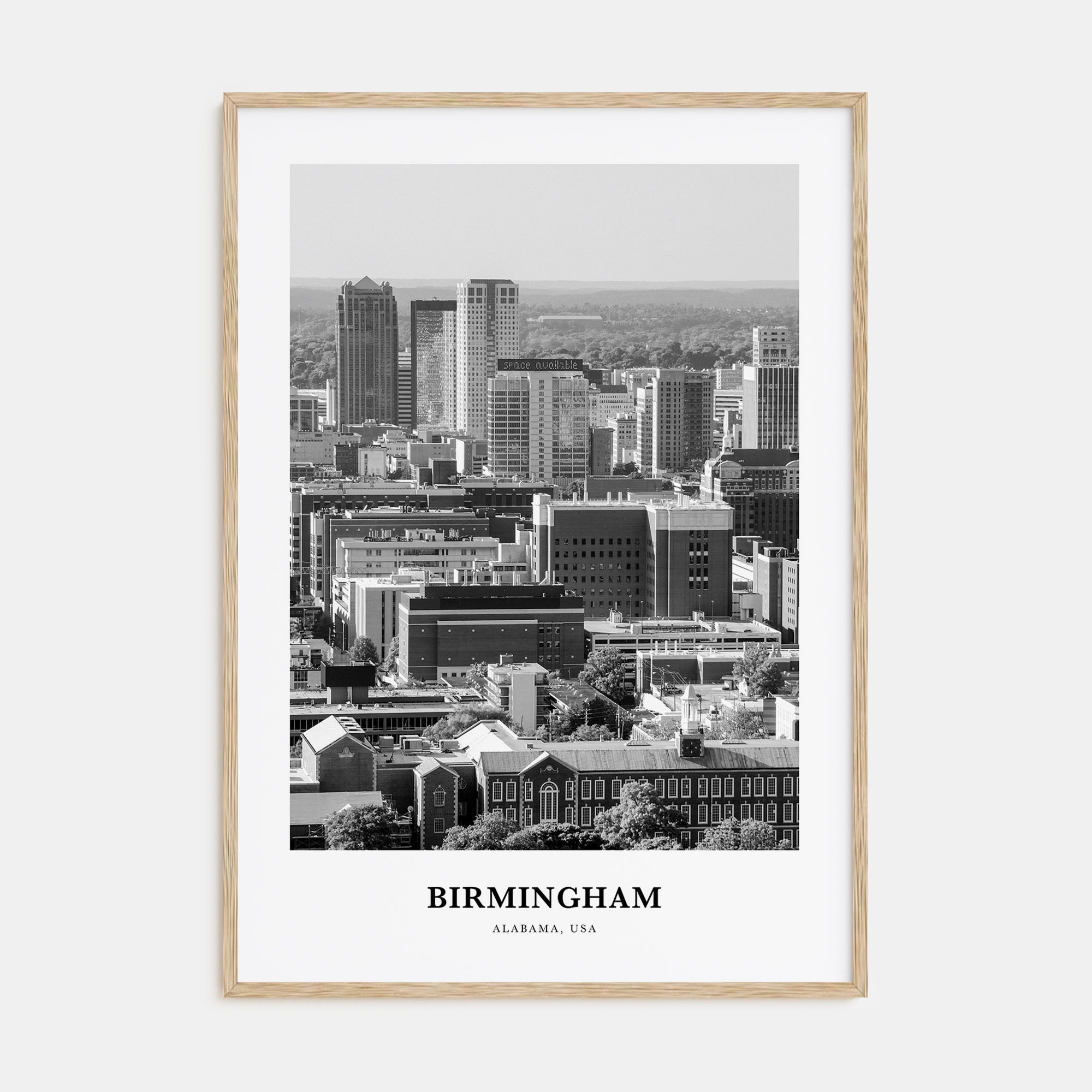 Birmingham, Alabama Portrait B&W Poster