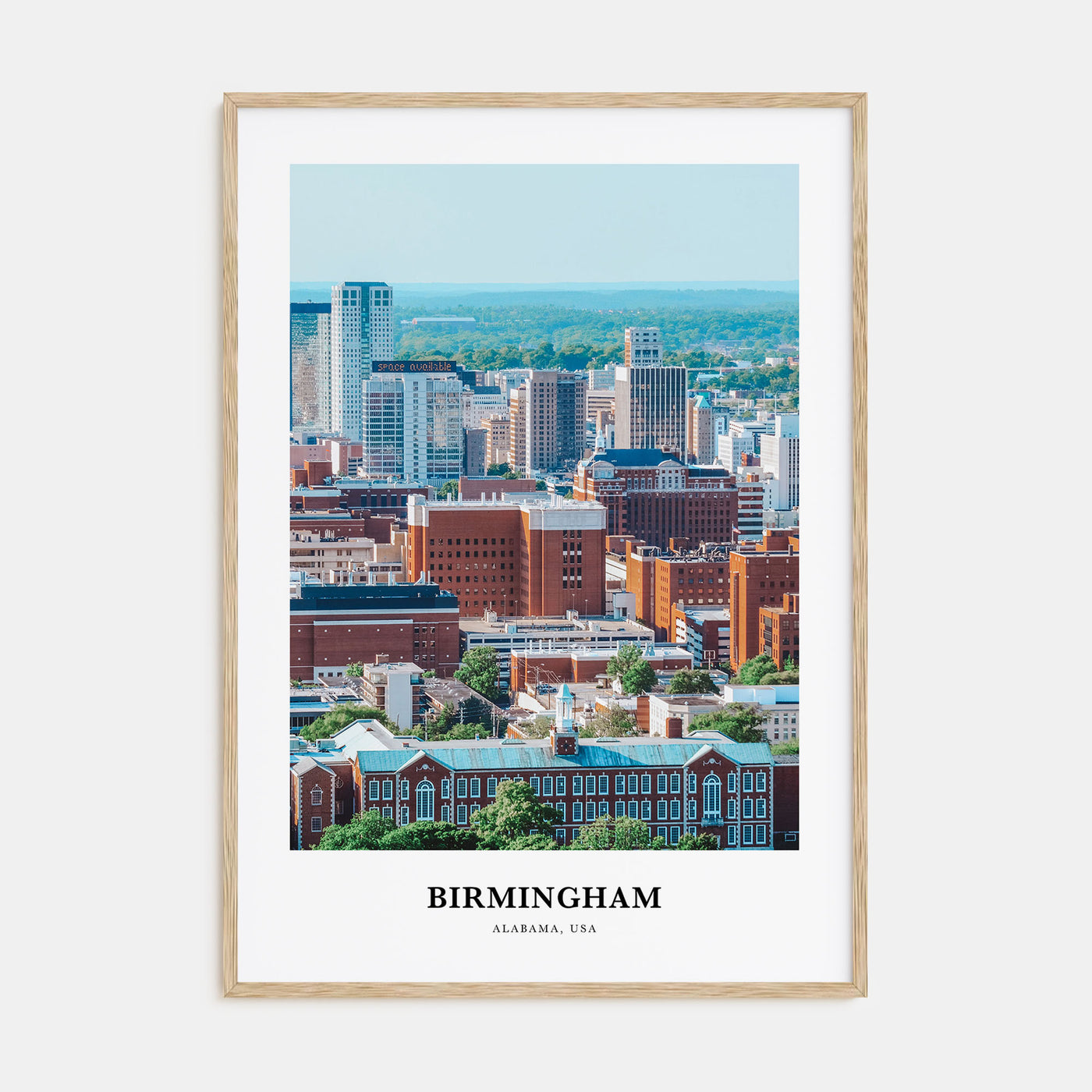 Birmingham, Alabama Portrait Color Poster