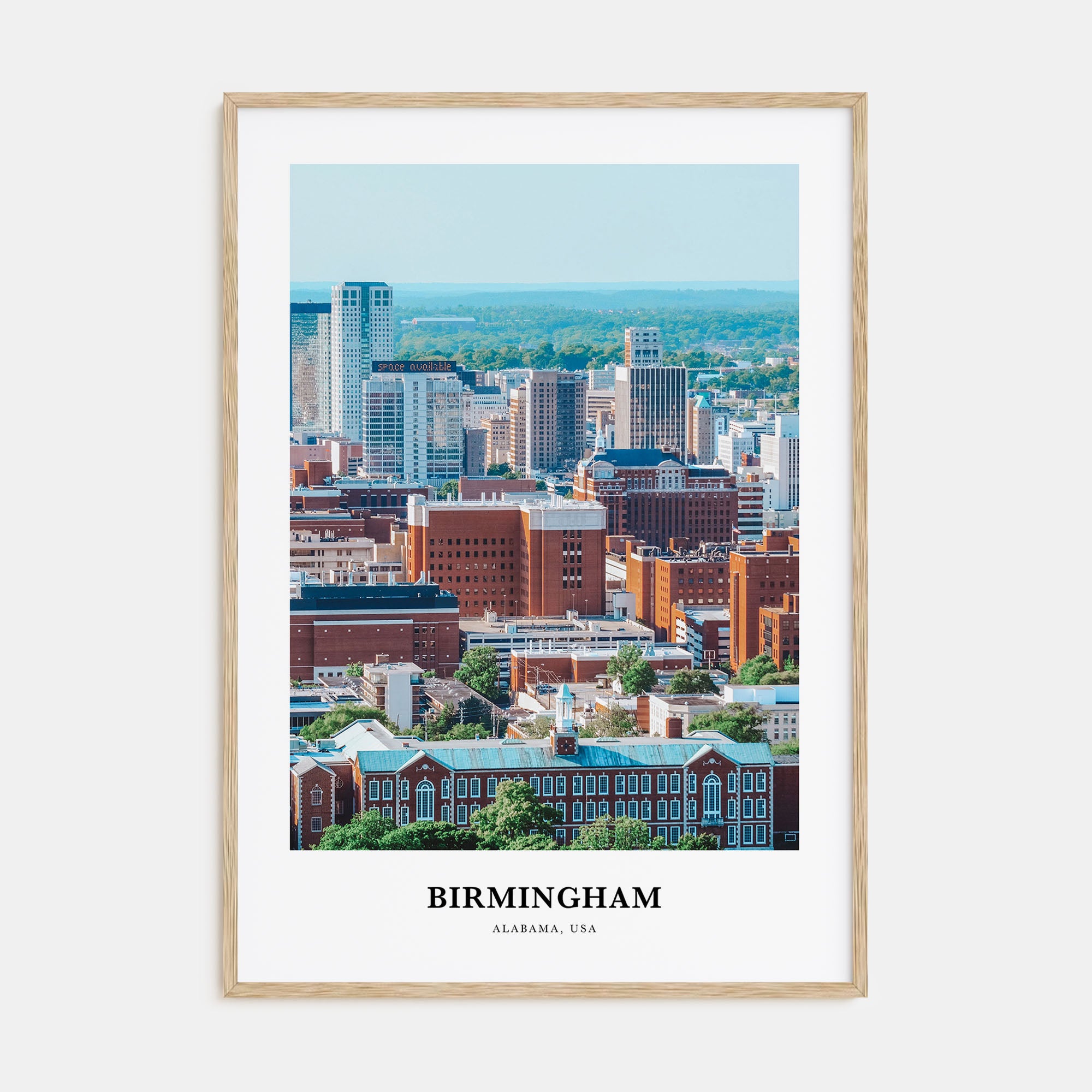 Birmingham, Alabama Portrait Color Poster