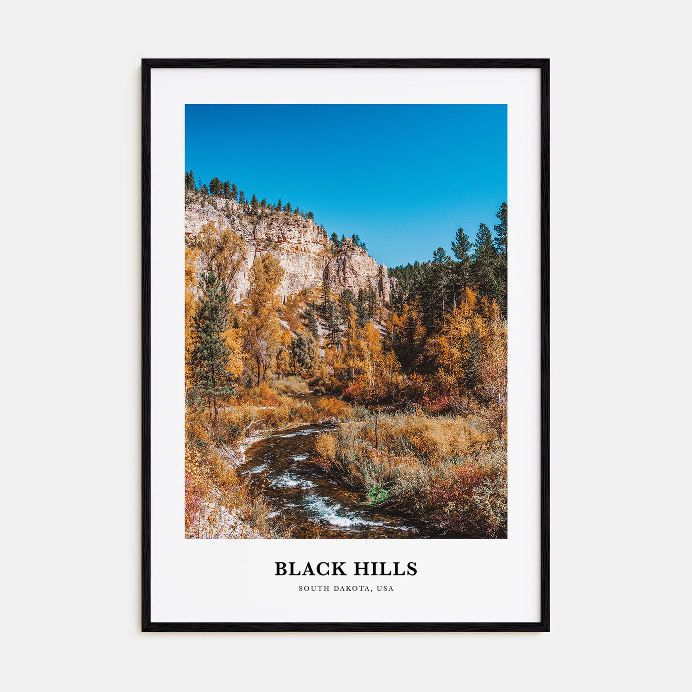 Black Hills Portrait Color Poster
