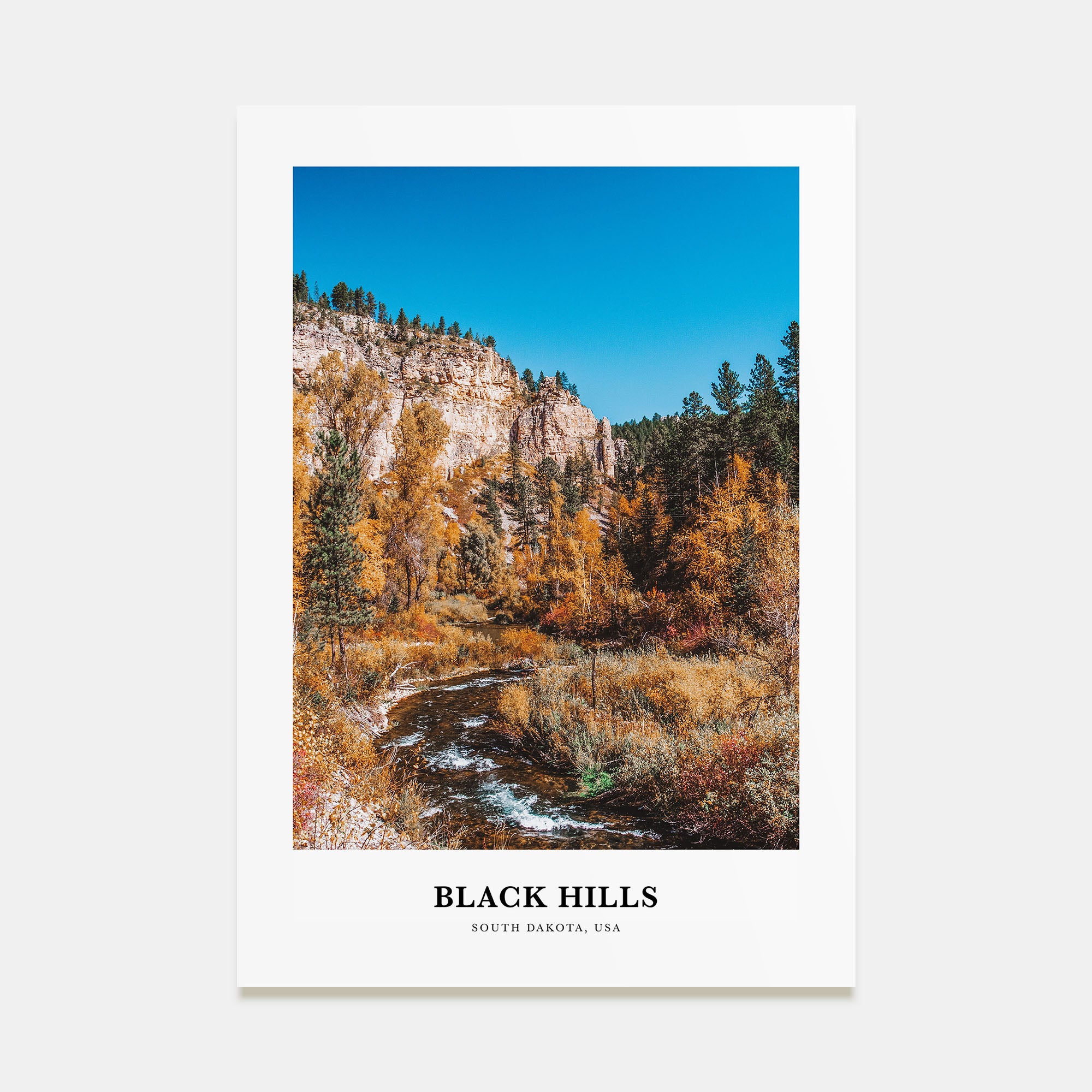 Black Hills Portrait Color Poster