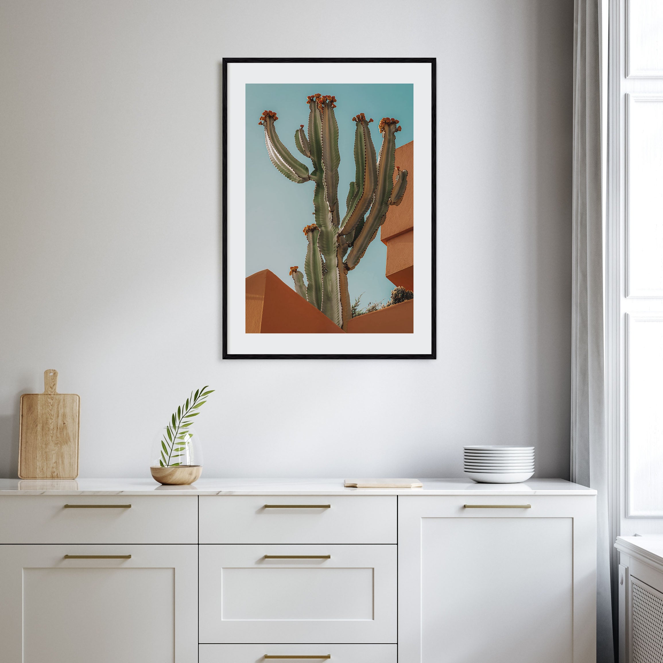 Blooming Cactus Sandy Walls Photo Color Poster