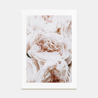 Blossoming Roses Photo Color Poster