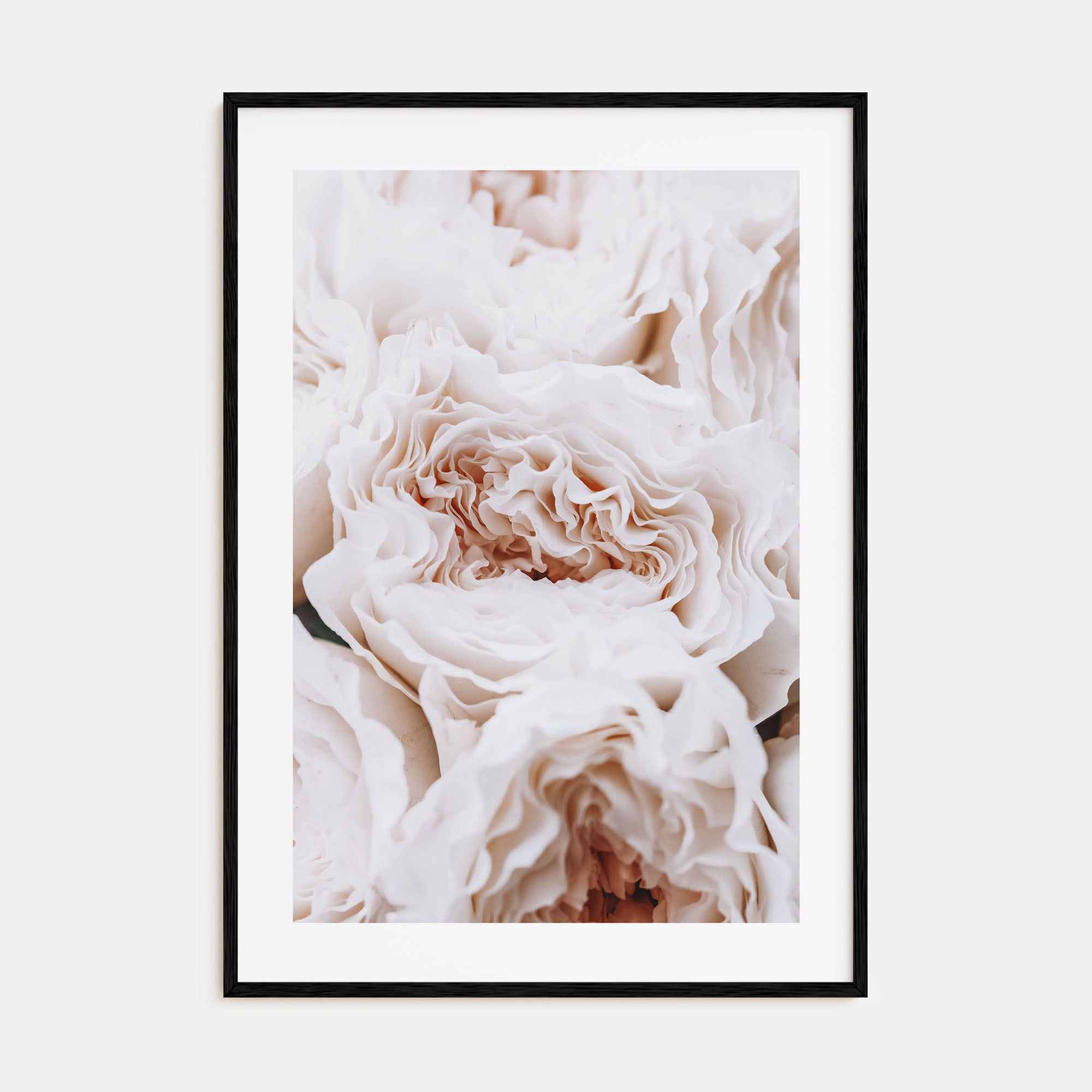 Blossoming Roses Photo Color Poster
