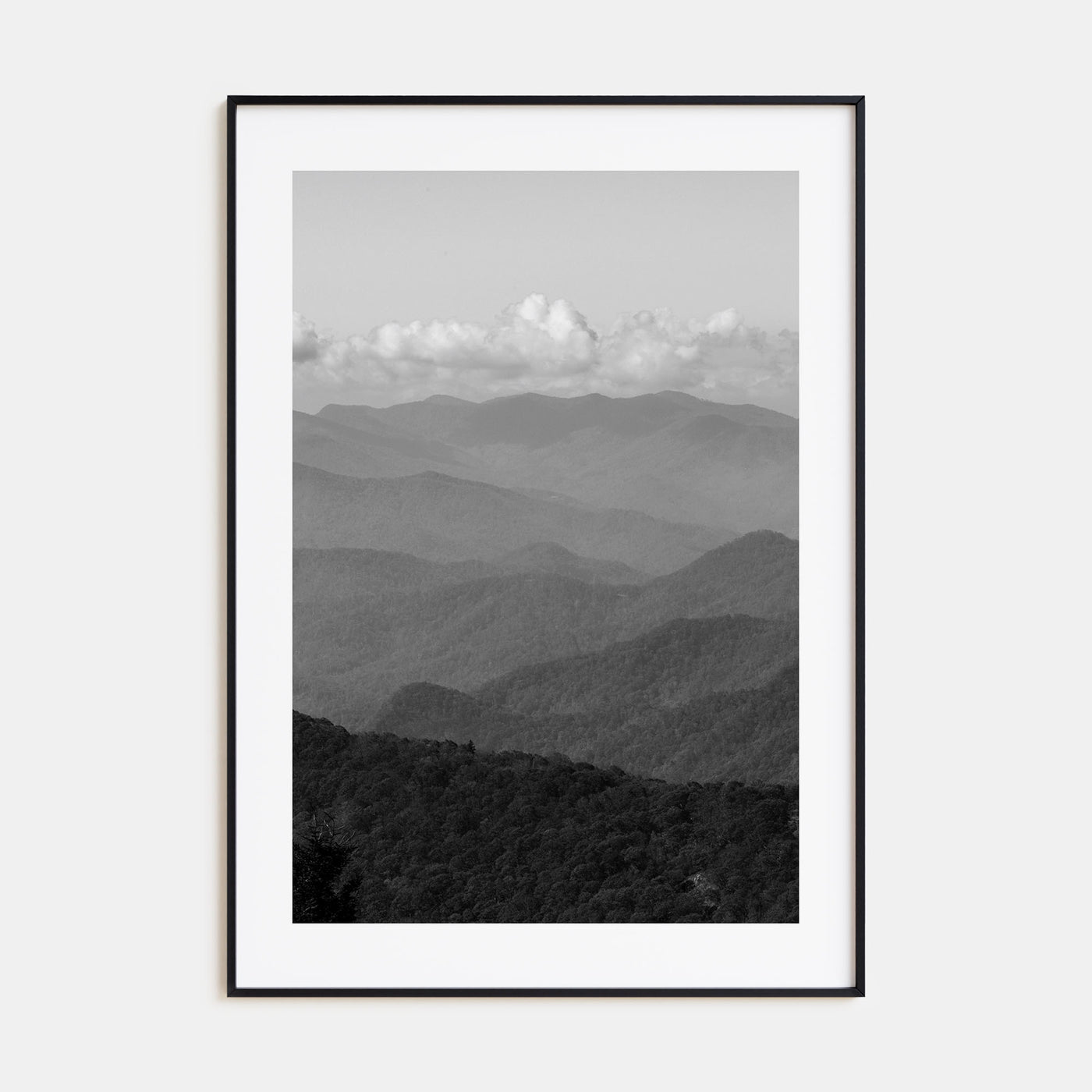 Blue Ridge Mountains Photo B&W Poster