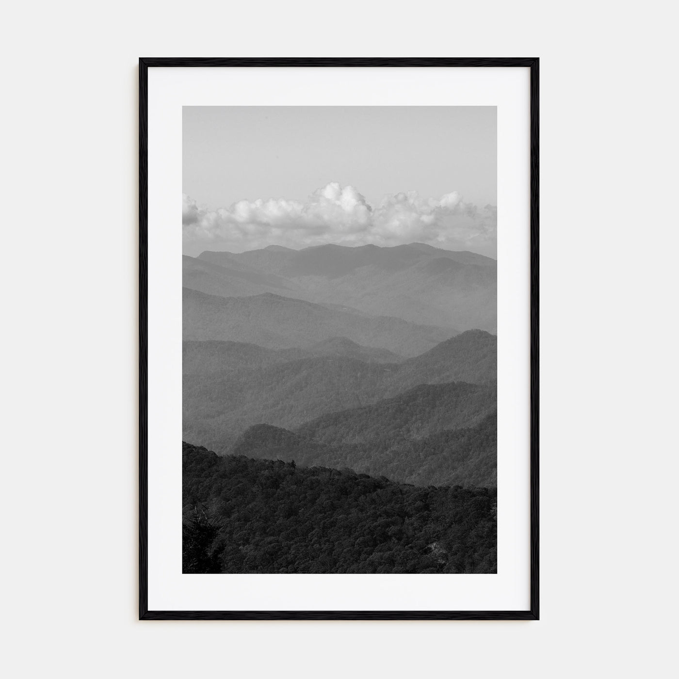 Blue Ridge Mountains Photo B&W Poster