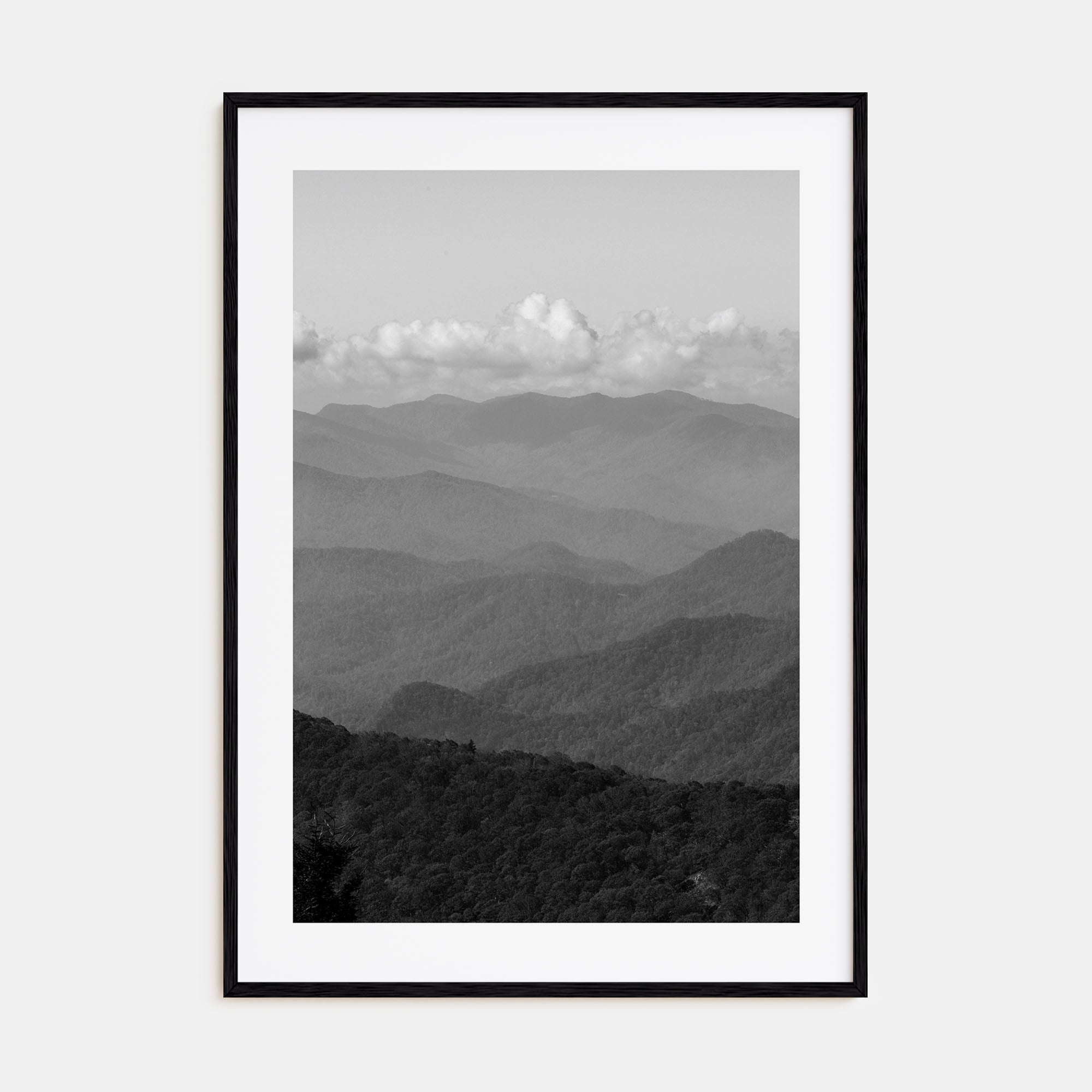 Blue Ridge Mountains Photo B&W Poster