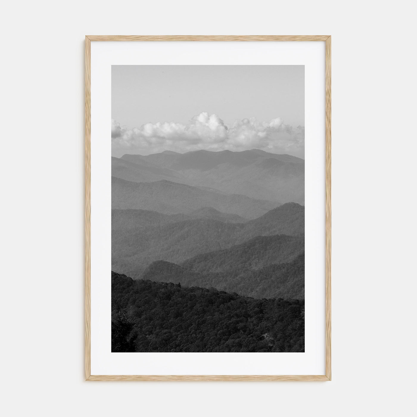 Blue Ridge Mountains Photo B&W Poster