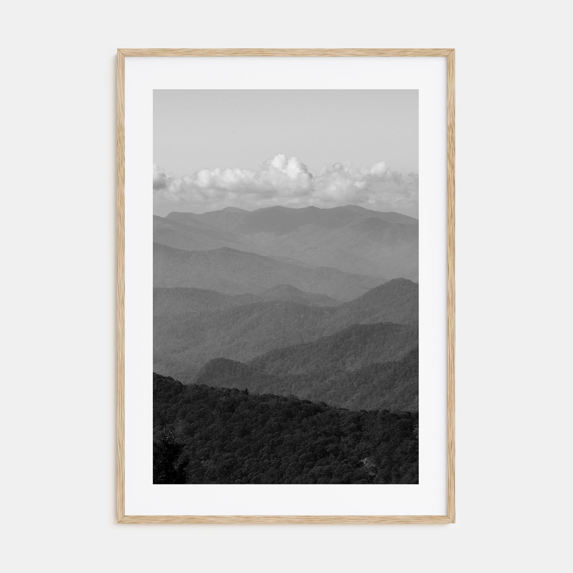Blue Ridge Mountains Photo B&W Poster