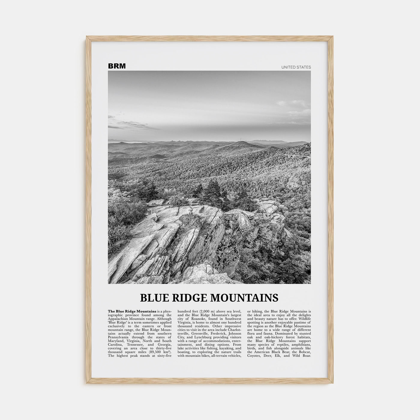 Blue Ridge Mountains Travel B&W Poster