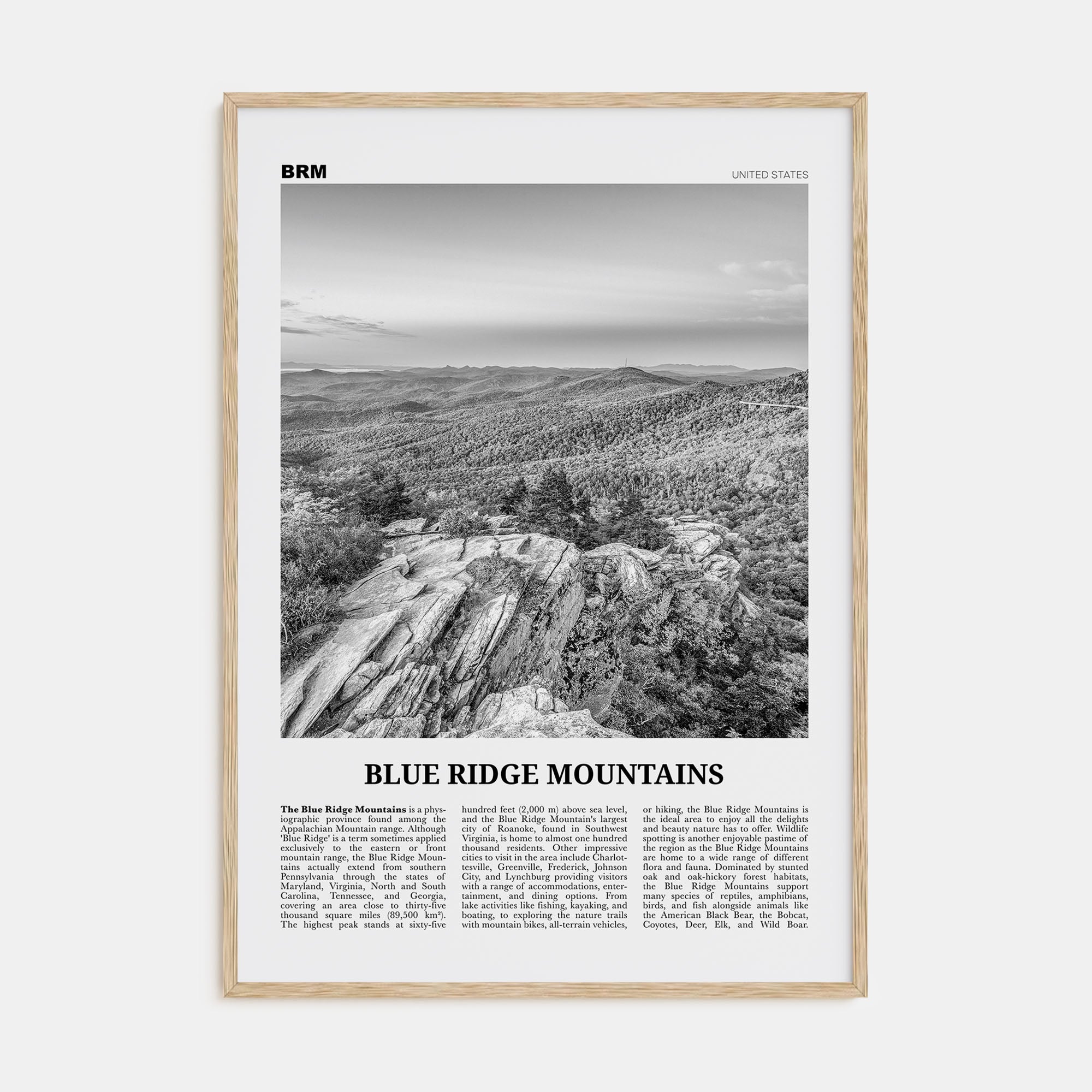 Blue Ridge Mountains Travel B&W Poster