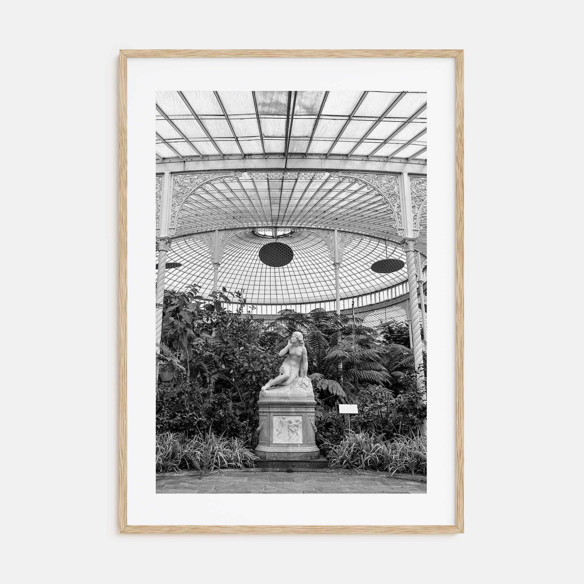 Botanical Garden Photo B&W No 1 Poster