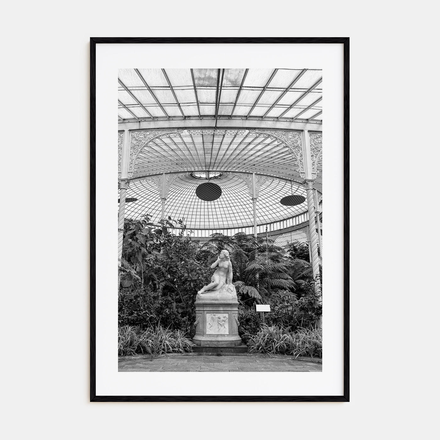 Botanical Garden Photo B&W No 1 Poster