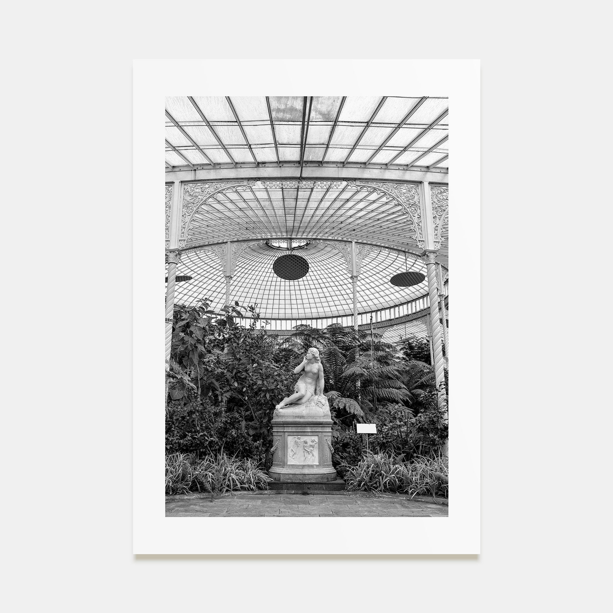 Botanical Garden Photo B&W No 1 Poster