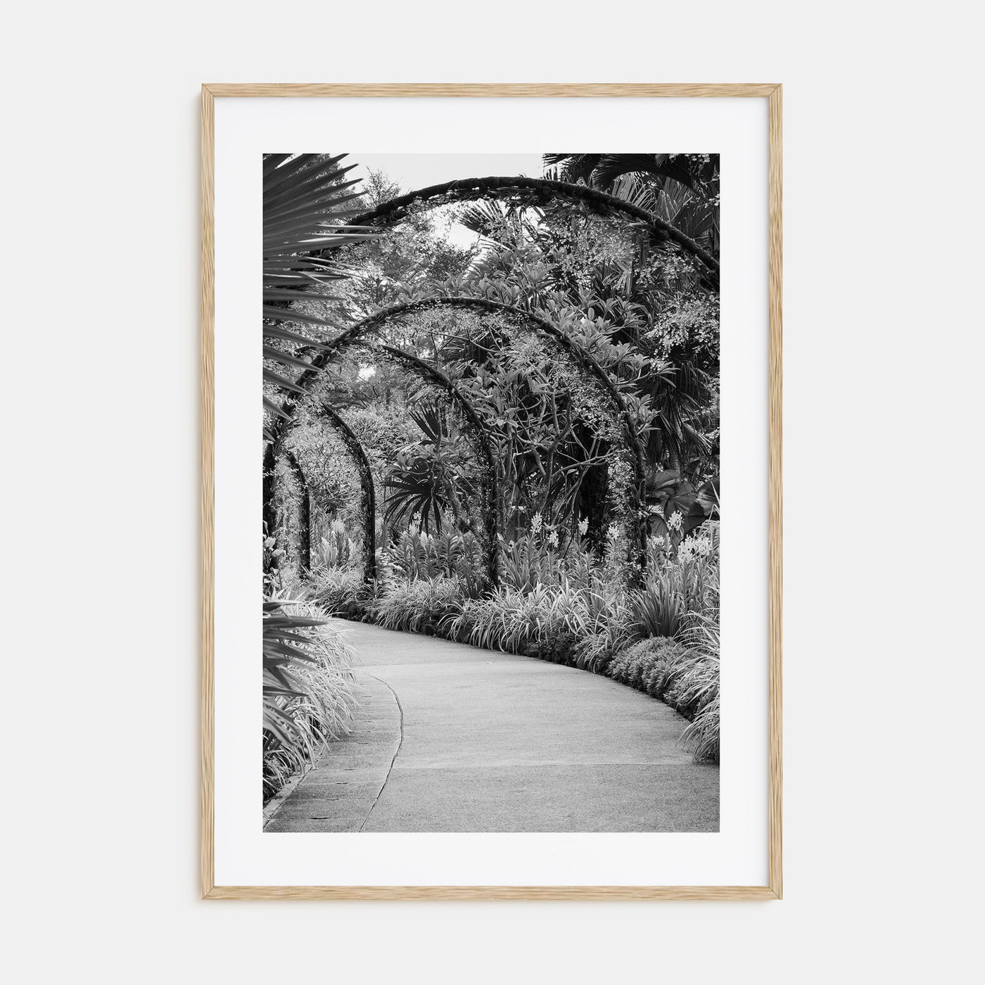 Botanical Garden Photo B&W No 2 Poster