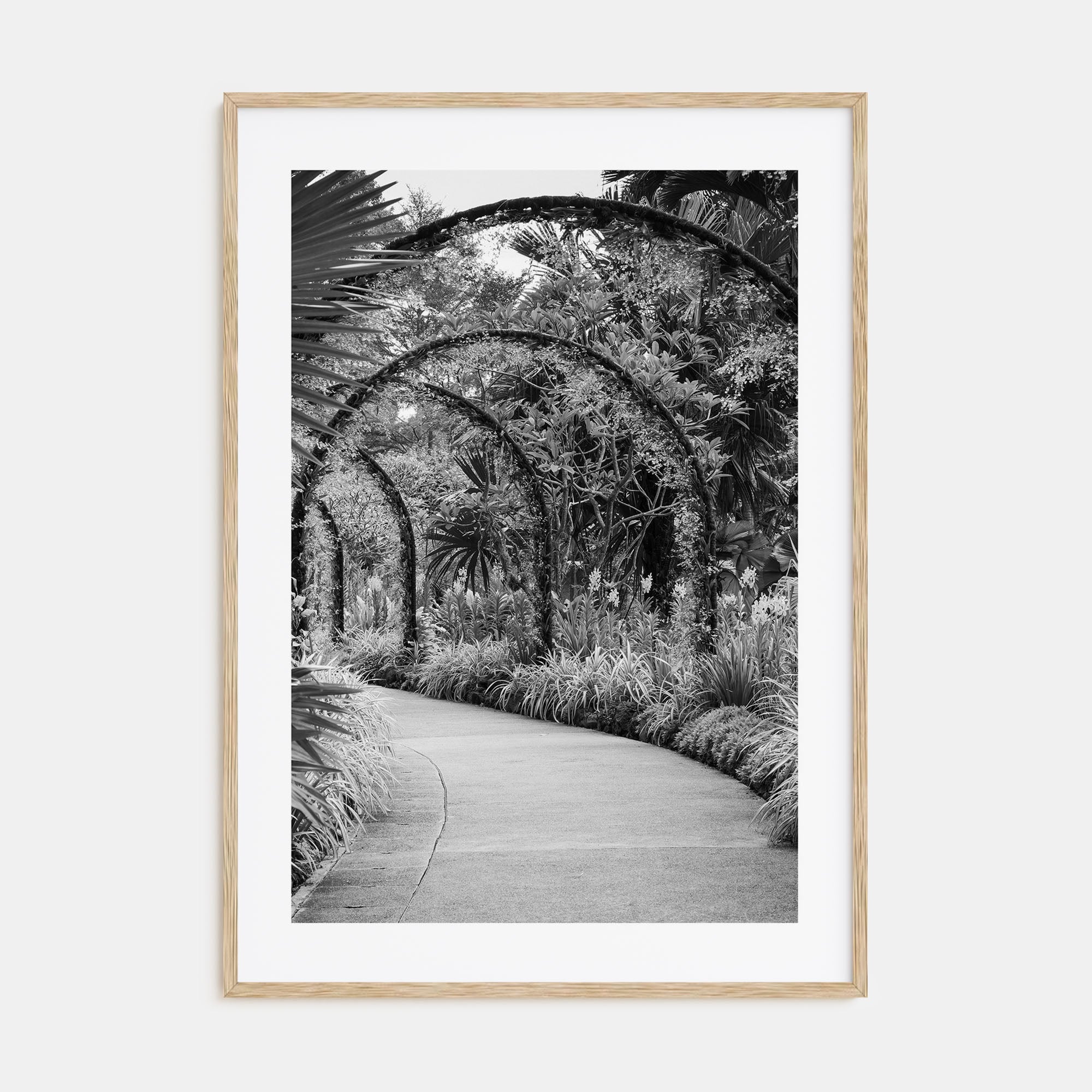 Botanical Garden Photo B&W No 2 Poster