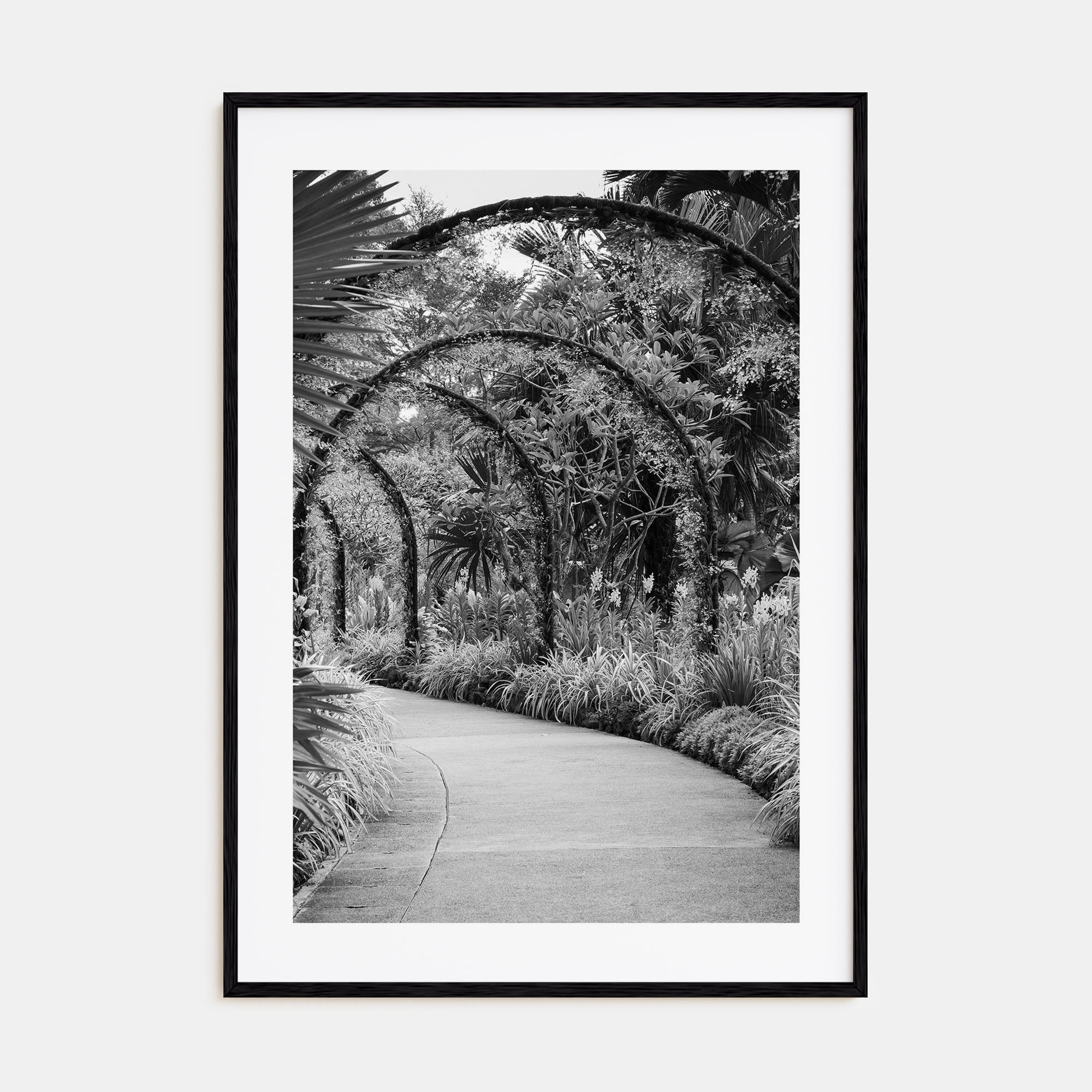 Botanical Garden Photo B&W No 2 Poster