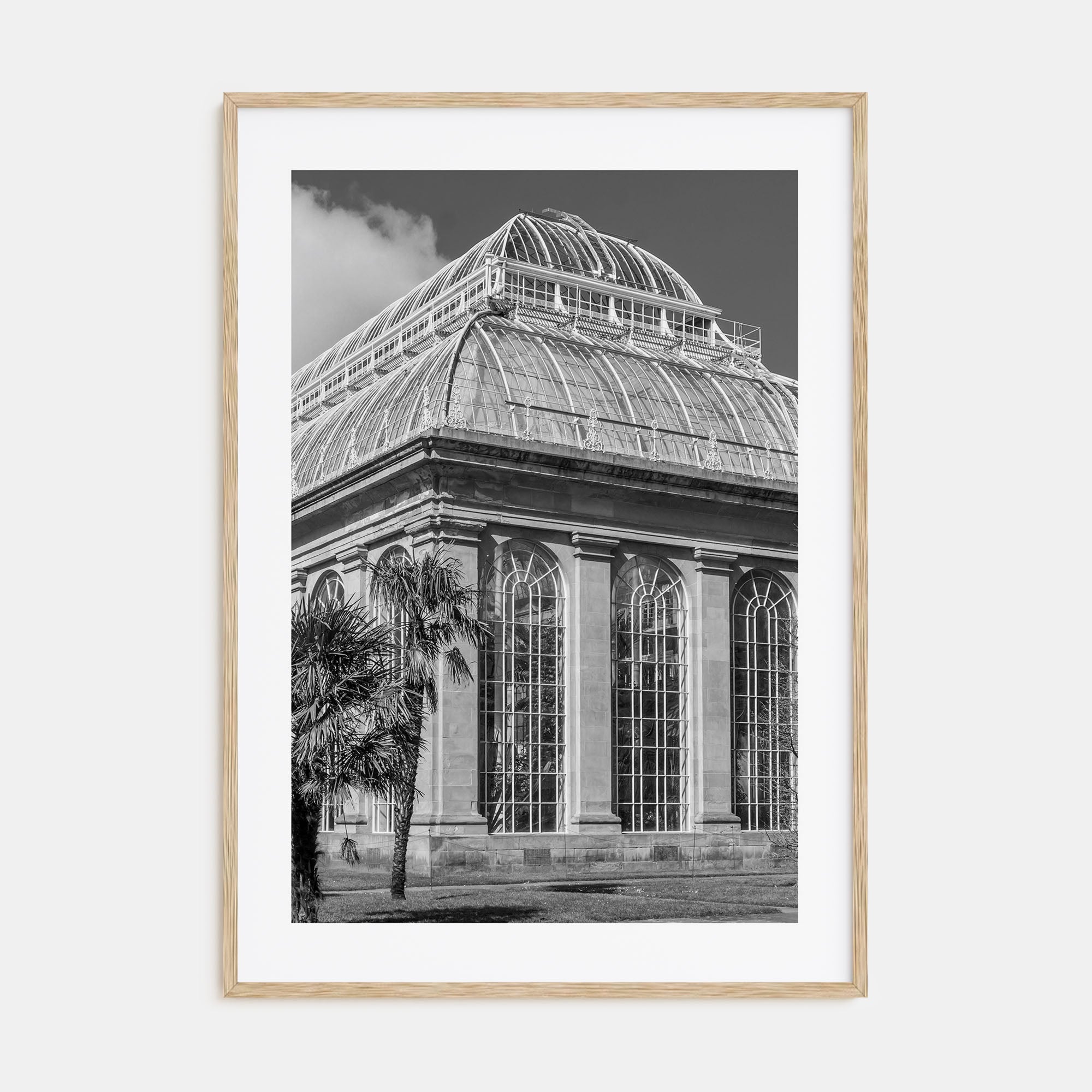 Botanical Garden Photo B&W No 3 Poster