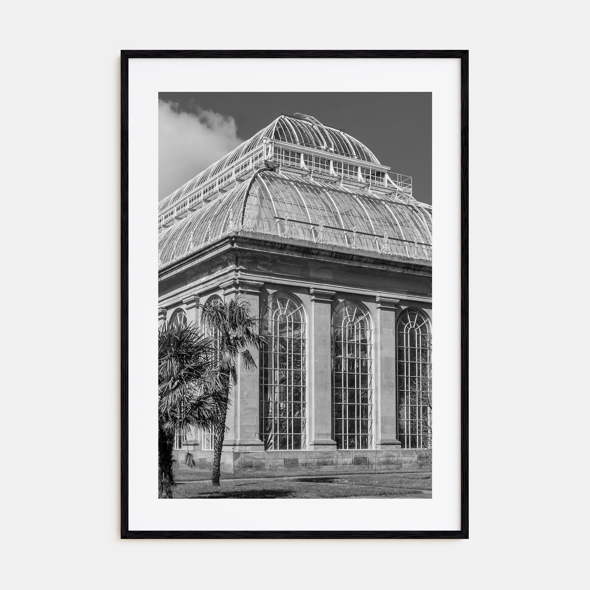 Botanical Garden Photo B&W No 3 Poster