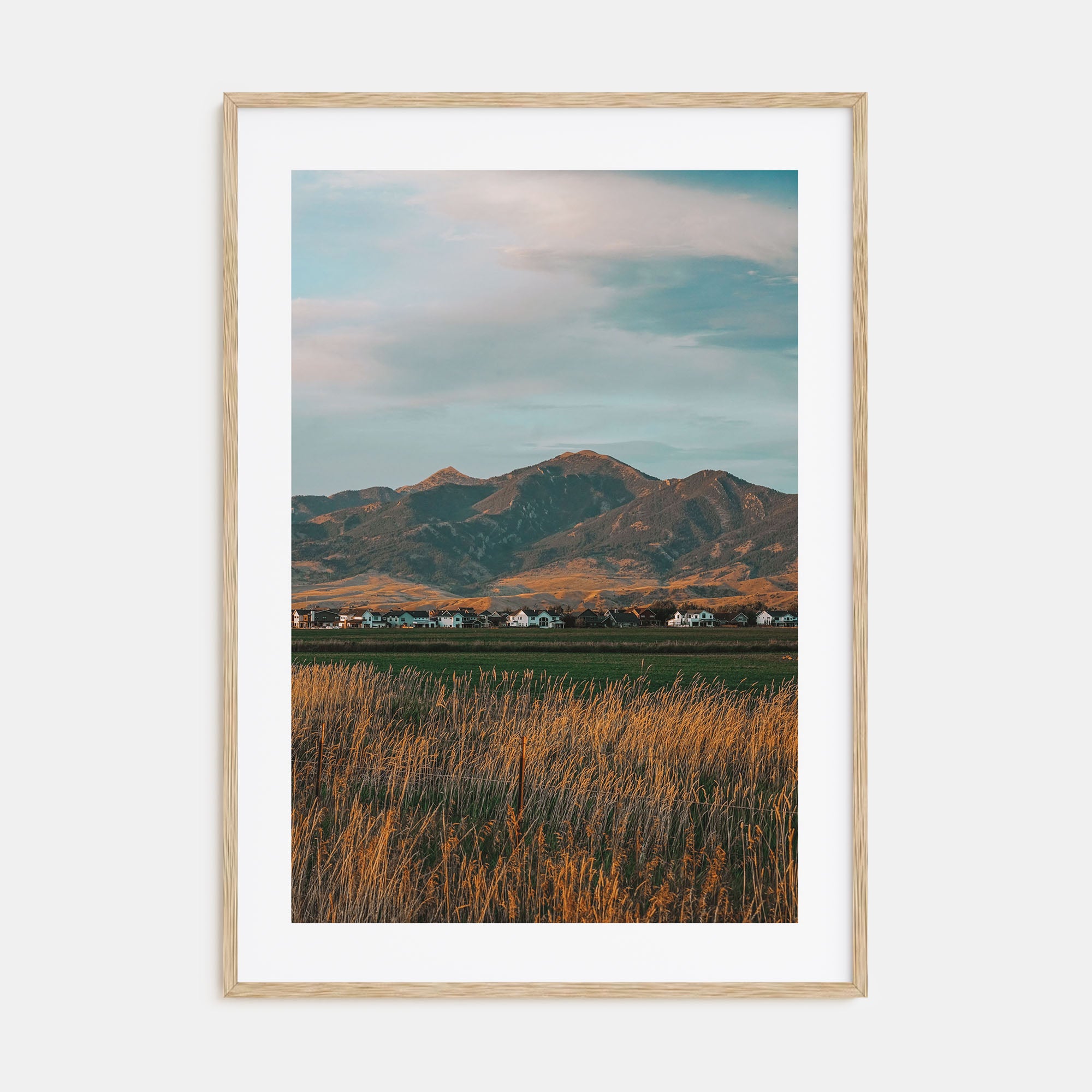 Bozeman Photo Color Poster