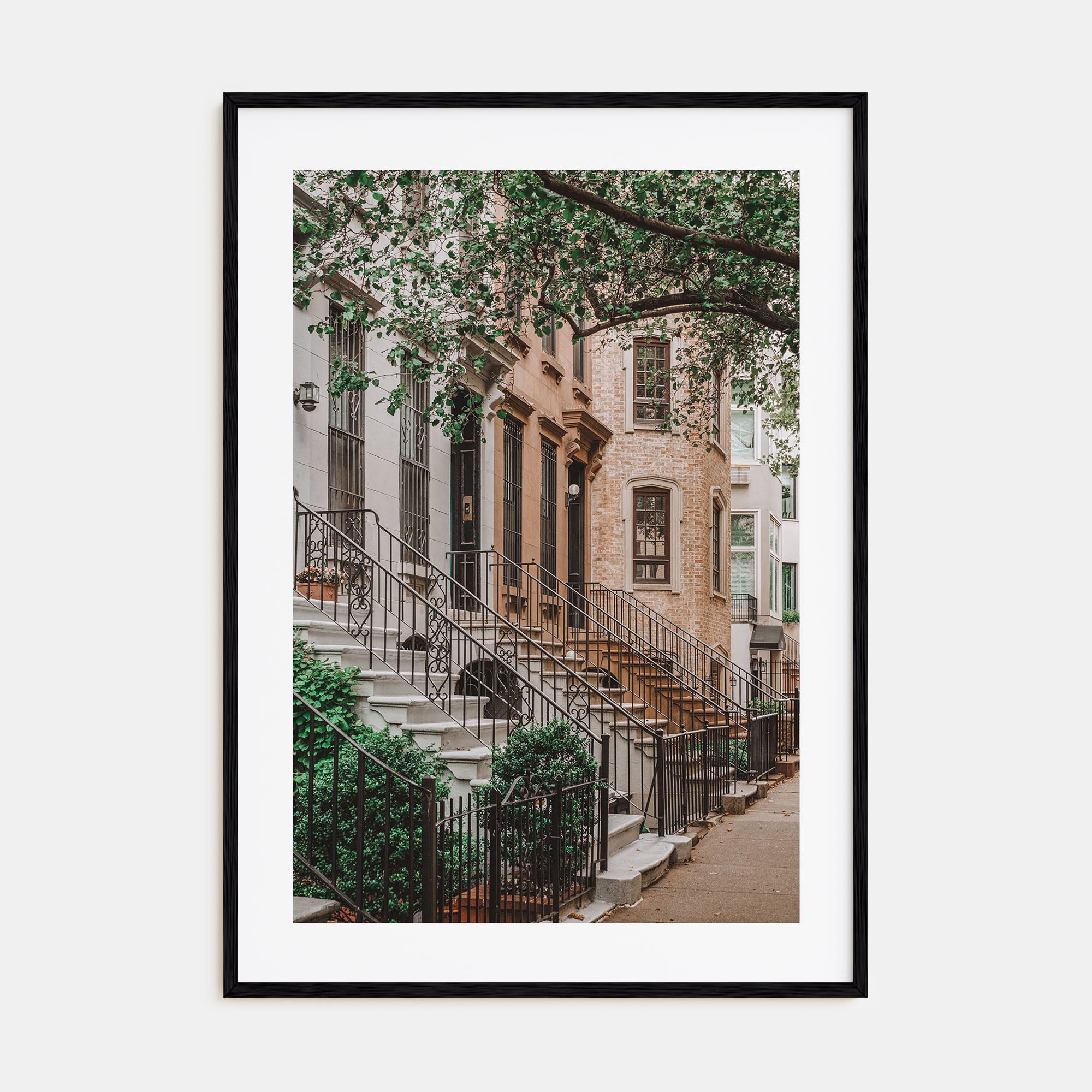 Brownstone Photo Color Poster