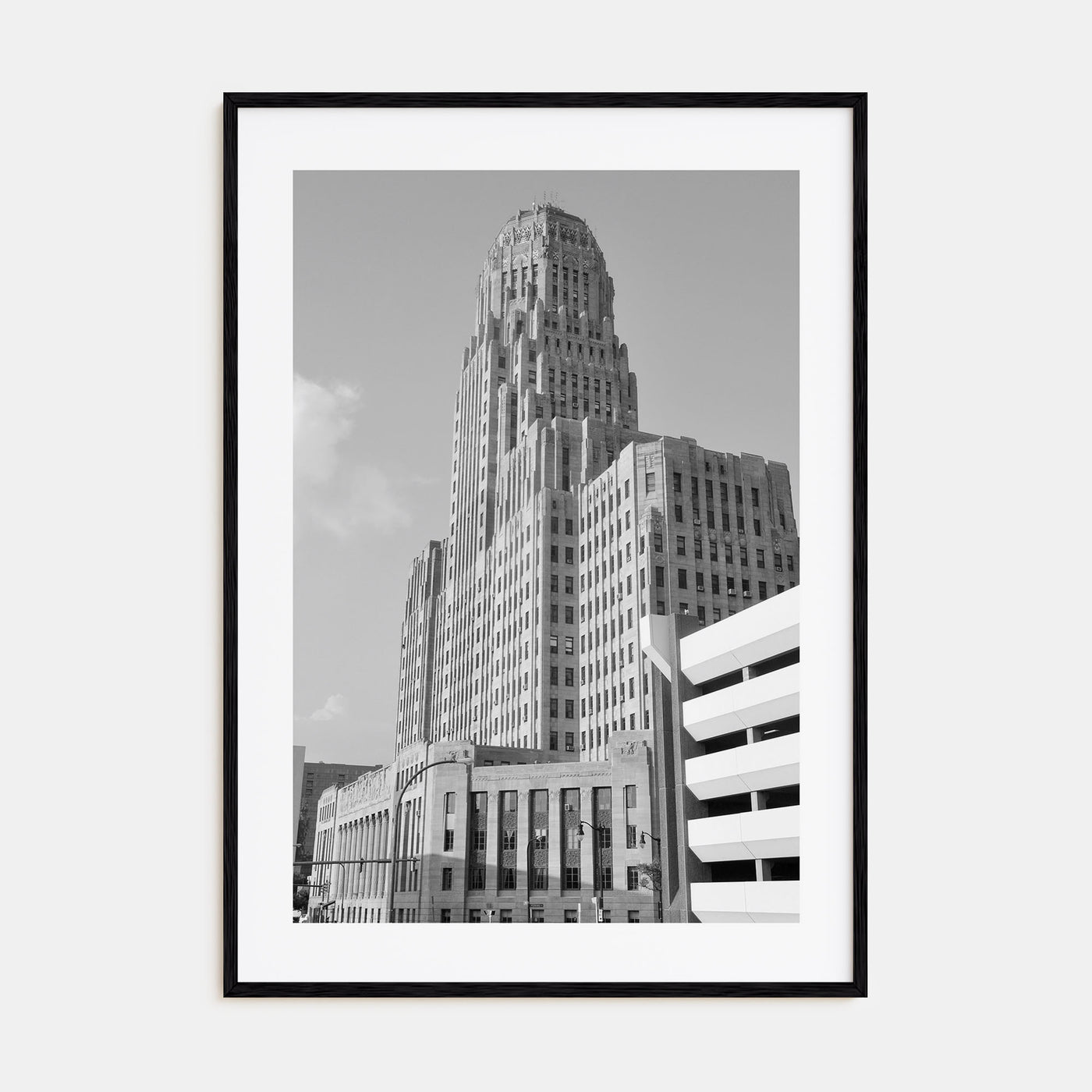 Buffalo Photo B&W No 1 Poster