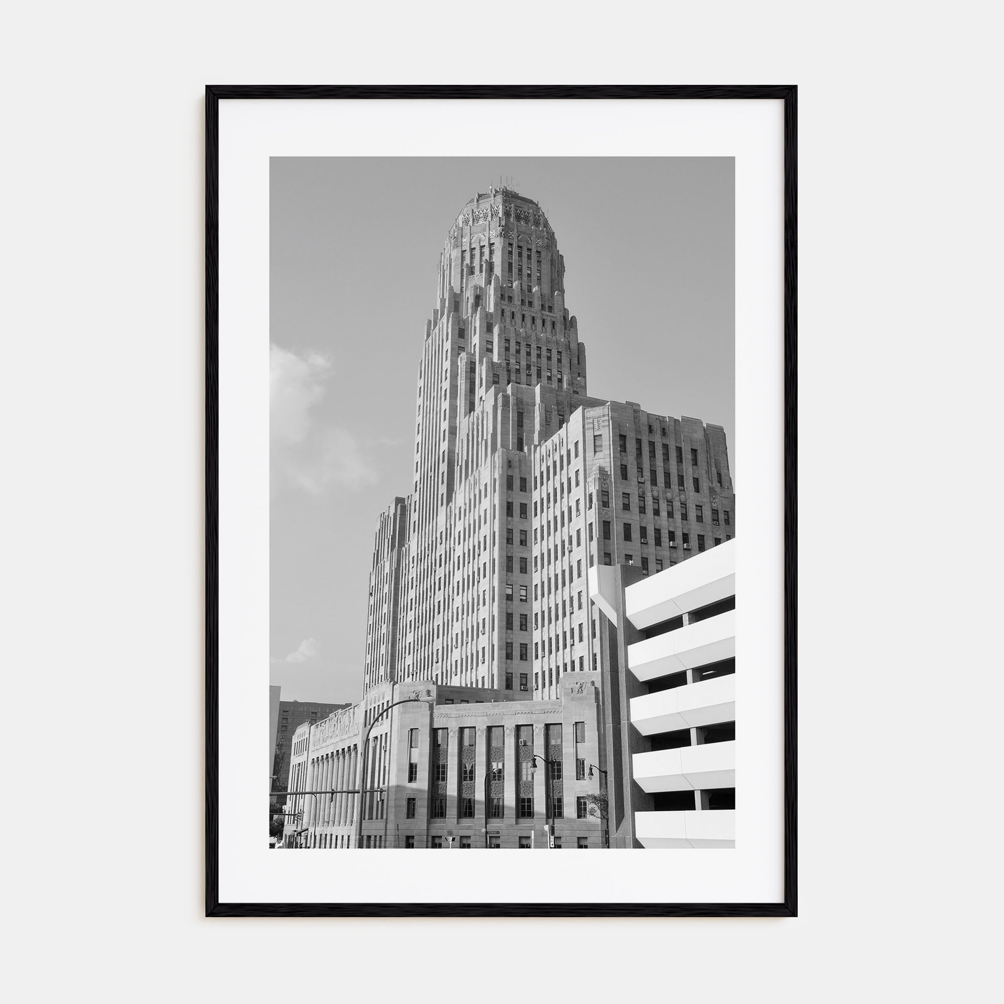 Buffalo Photo B&W No 1 Poster