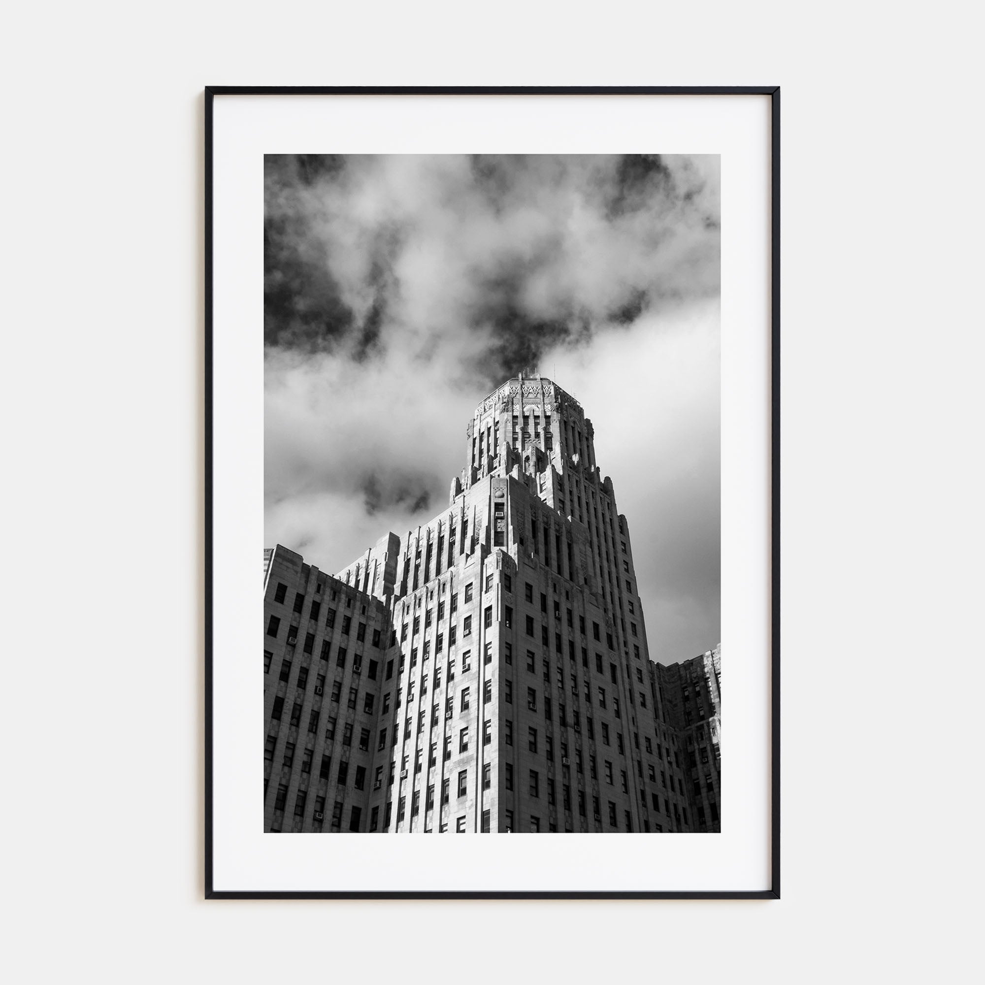 Buffalo Photo B&W No 2 Poster